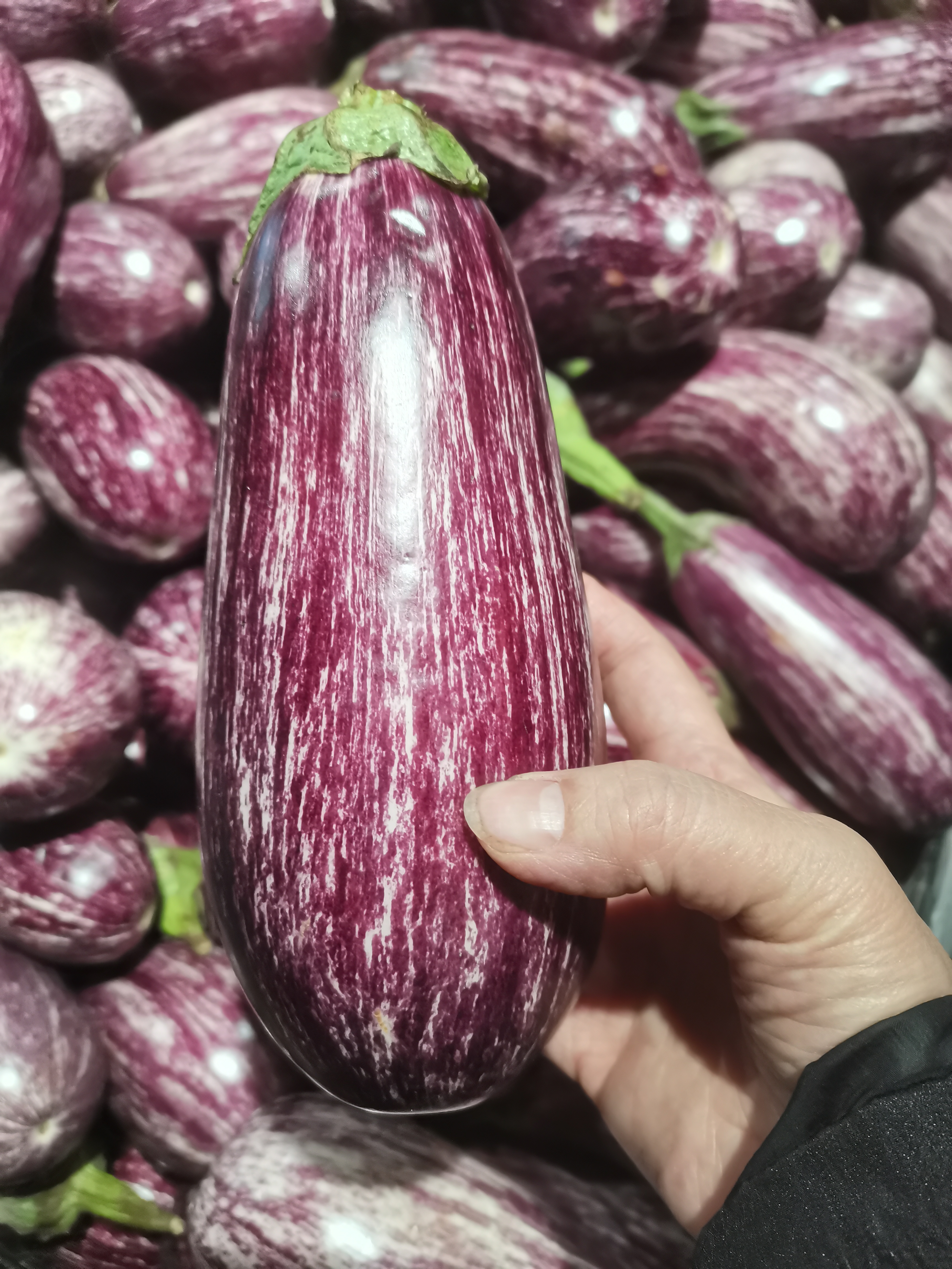 茄子视频=茄子视频改为果酱视频软件