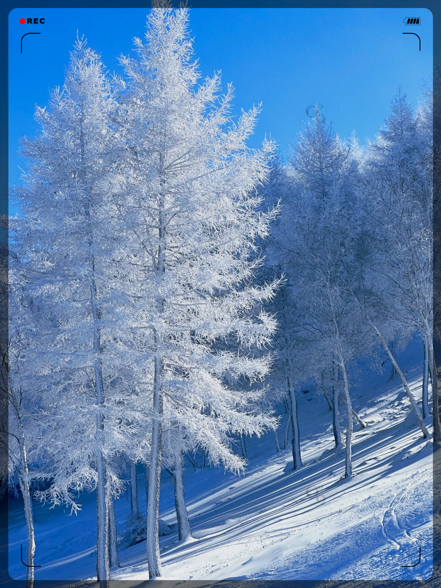 张家口崇礼雪景图片