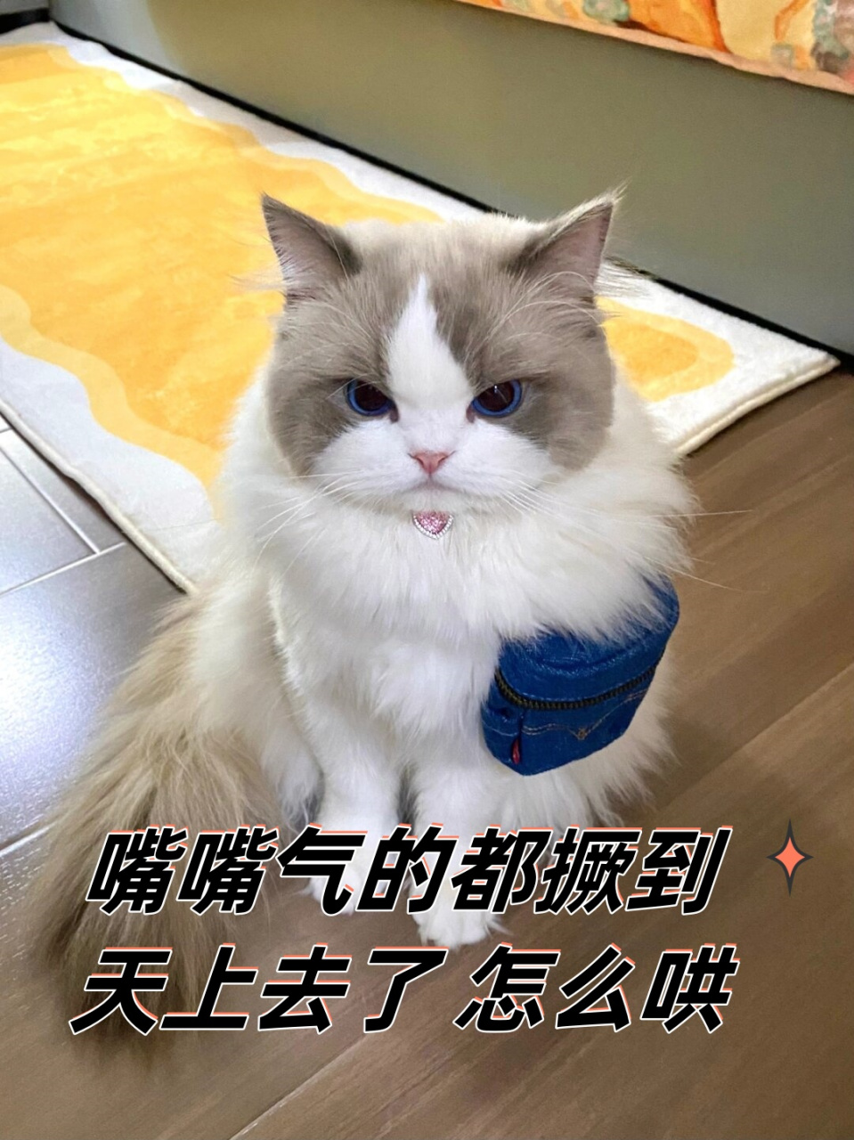 "越想越气,她忍不住哼了一声,威胁说要