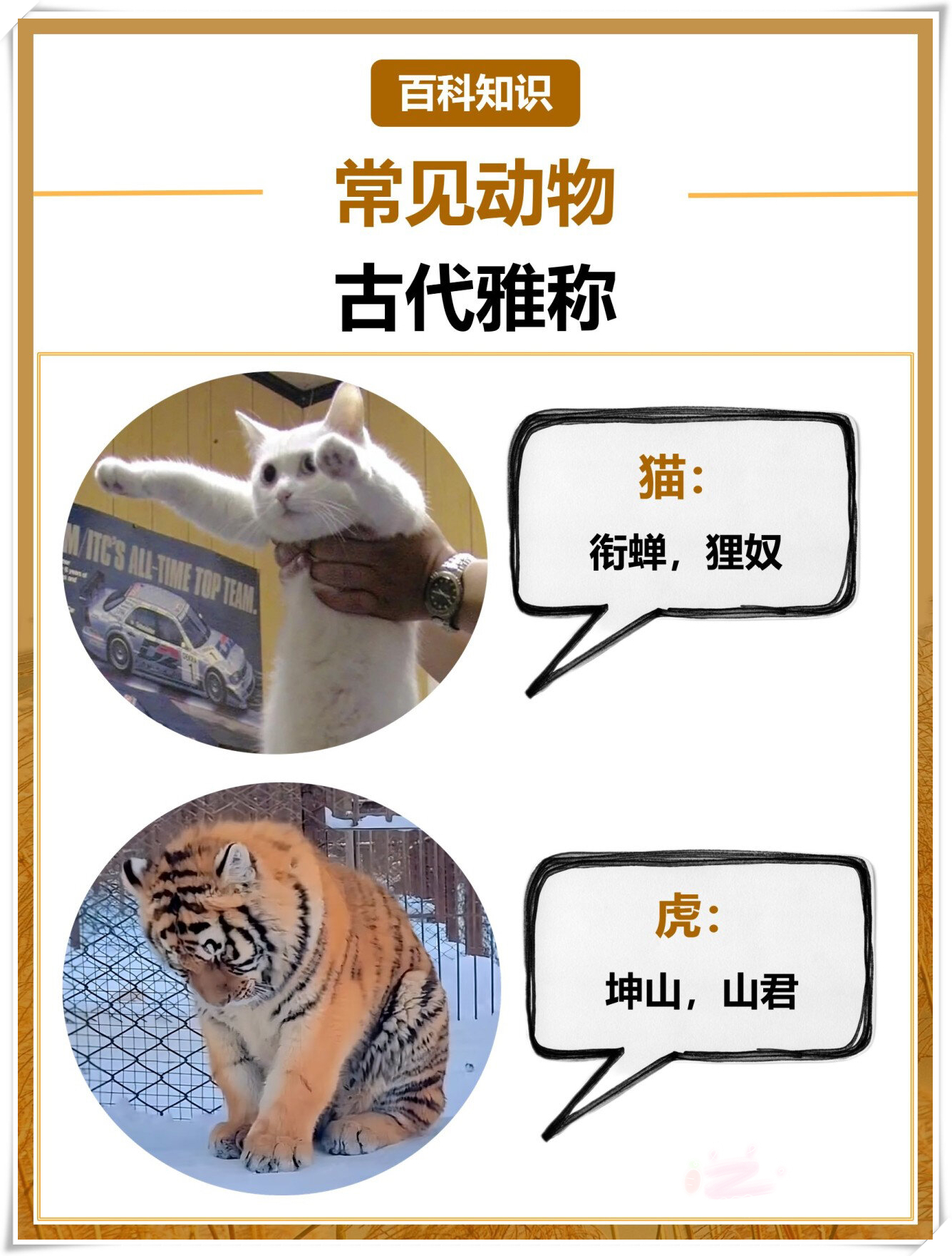 古代常见动物的雅称:从动物的.@阿雯教育笔记的动态