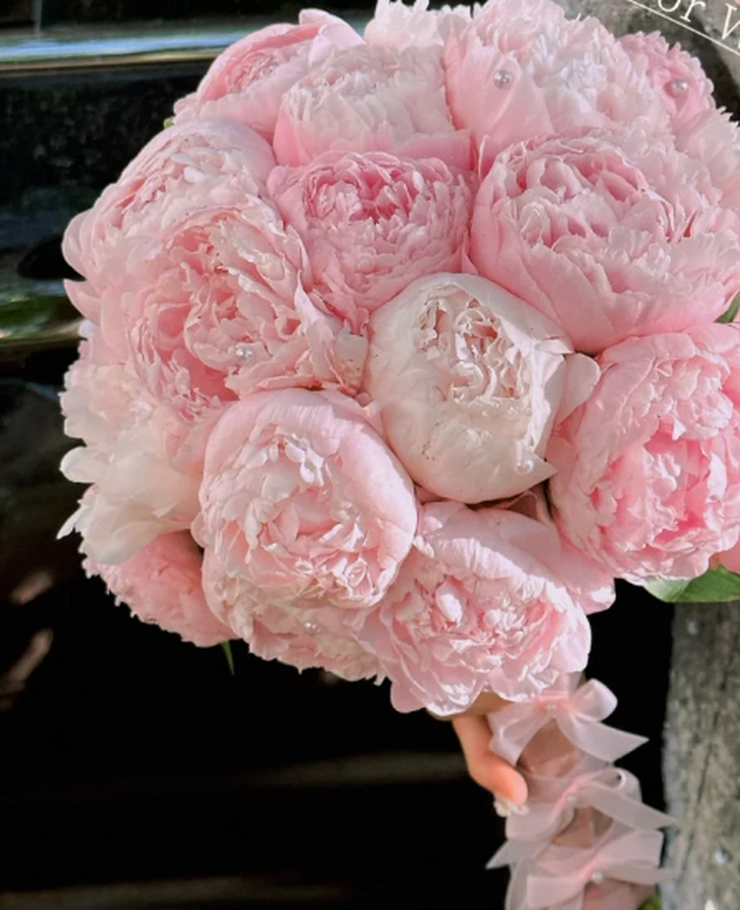 全芍药新婚手捧花:献给闺蜜的珍贵礼物 在闺蜜即将步入新婚殿堂的时刻