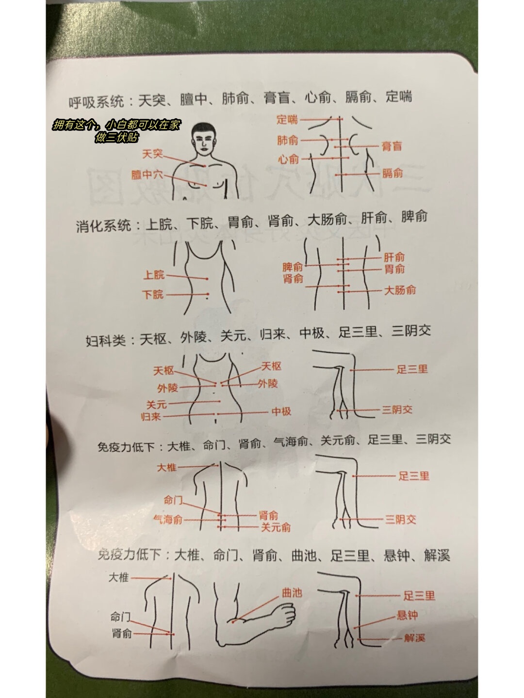 三伏贴位置详细图三伏贴的位置图三伏贴位置详细图解三伏贴位置示意图