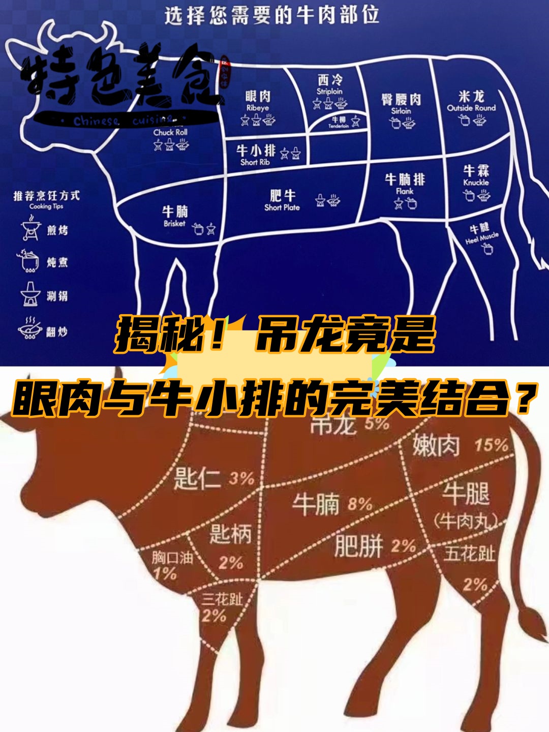 牛输液部位示意图图片