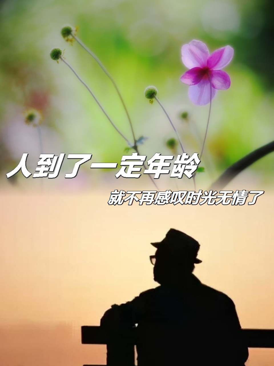 人到了一定年龄,就不再感叹时光无情了