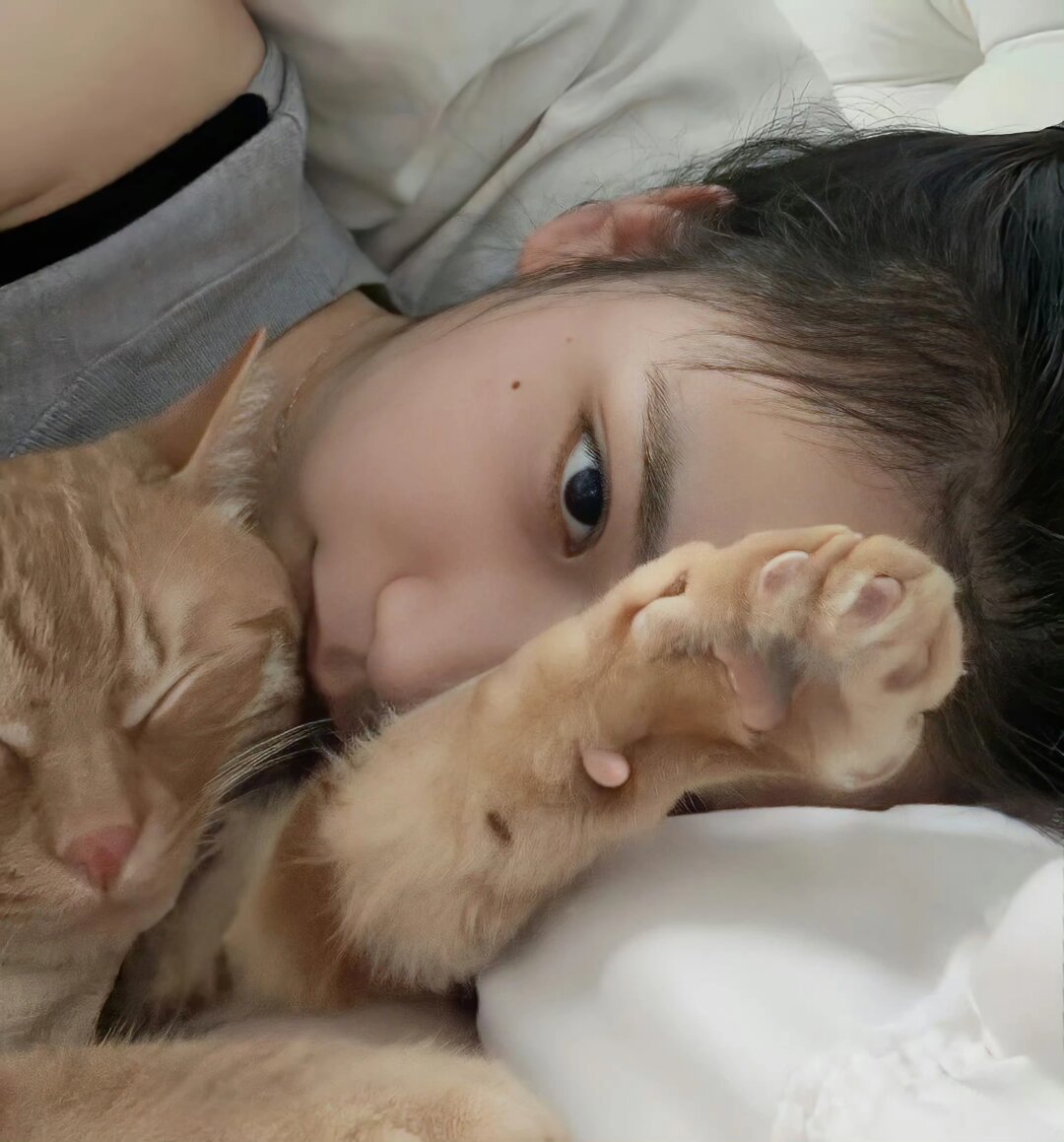 超萌女生与猫咪的合拍时刻