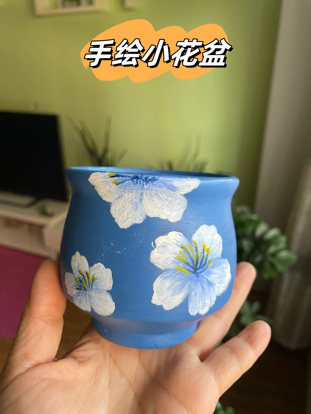在宁静淡雅的时光中,以满腔热爱来疗愈生活