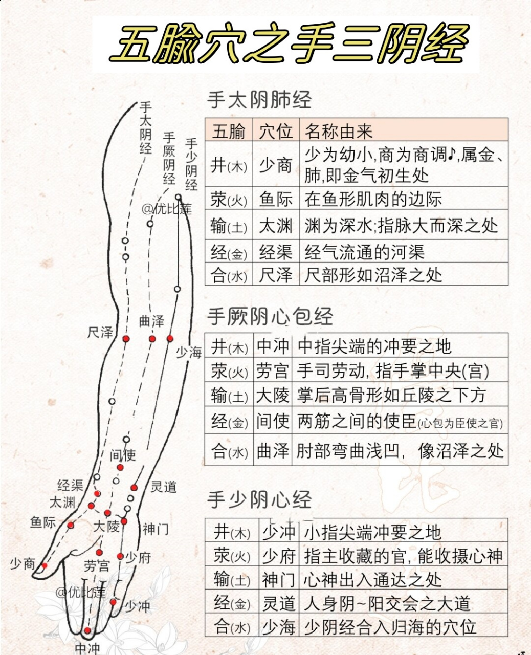 手背三条阳经经络图片