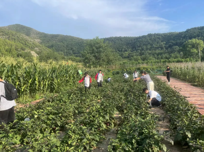 平顺县北社乡下社村:打造美丽乡村 留住最美乡愁