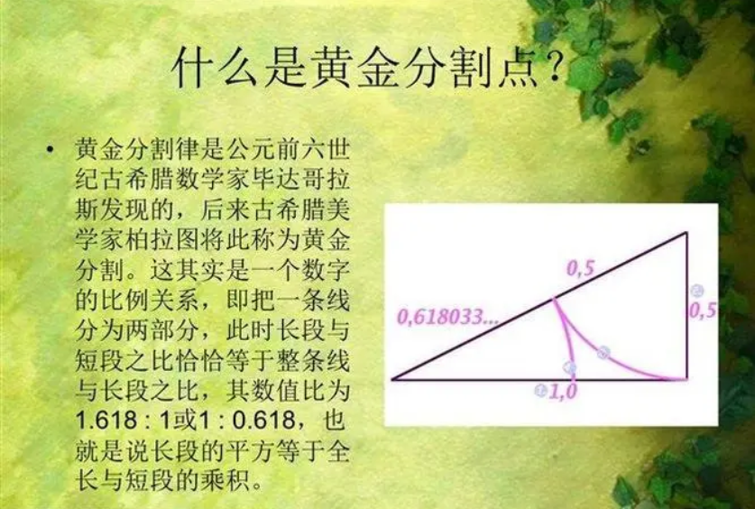 黄金分割律图片