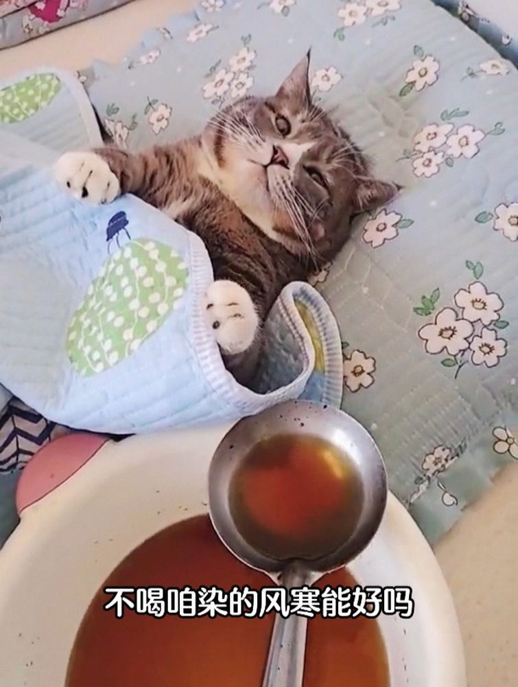 大郎快点起来喝药了