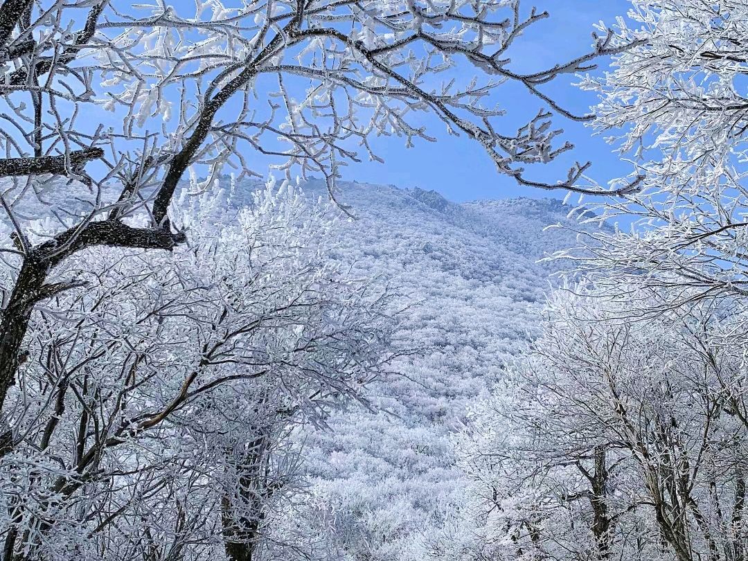 白茫茫的雪景图片