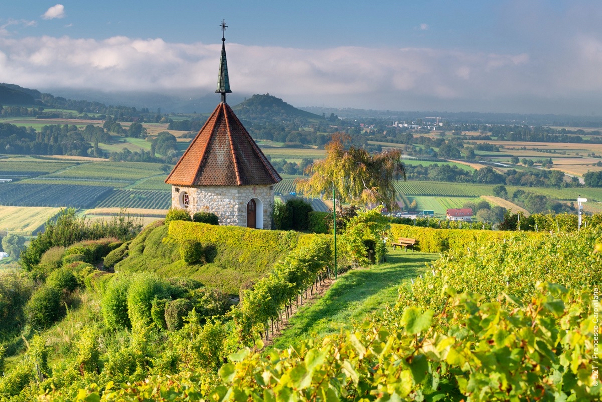 优质作者榜# 德国百佳景点·弗莱堡(freiburg).