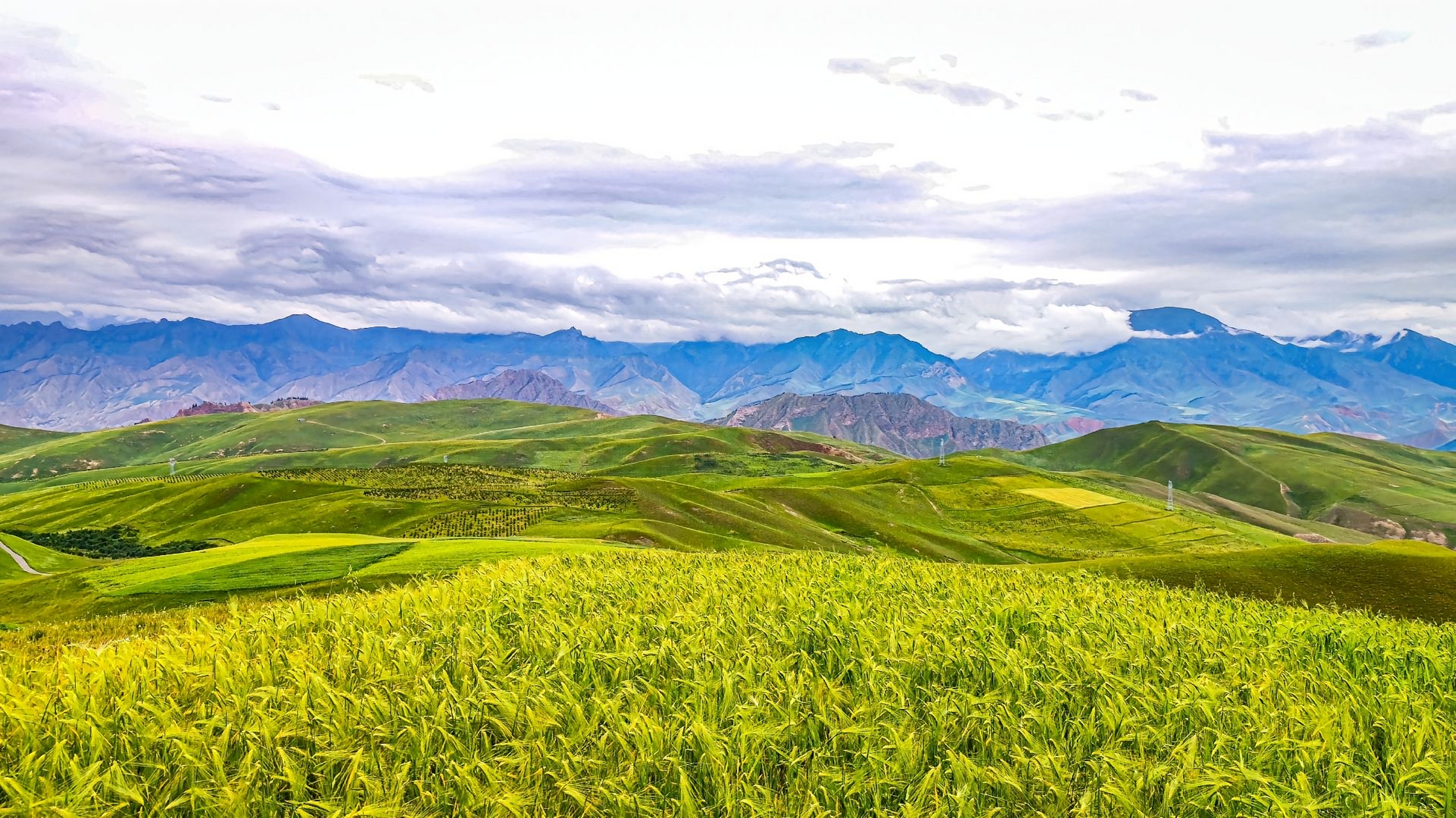 青海祁连山的风景美如画#旅行# #旅游