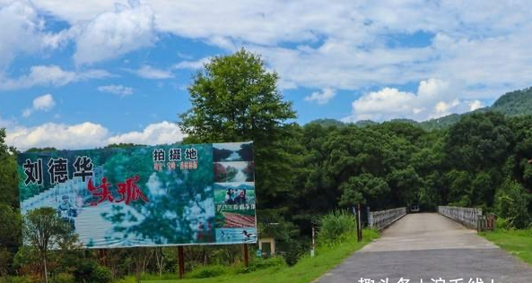 江西宜昌小众出游地,一片落寞林海竟是刘德华电影《失孤》取景地