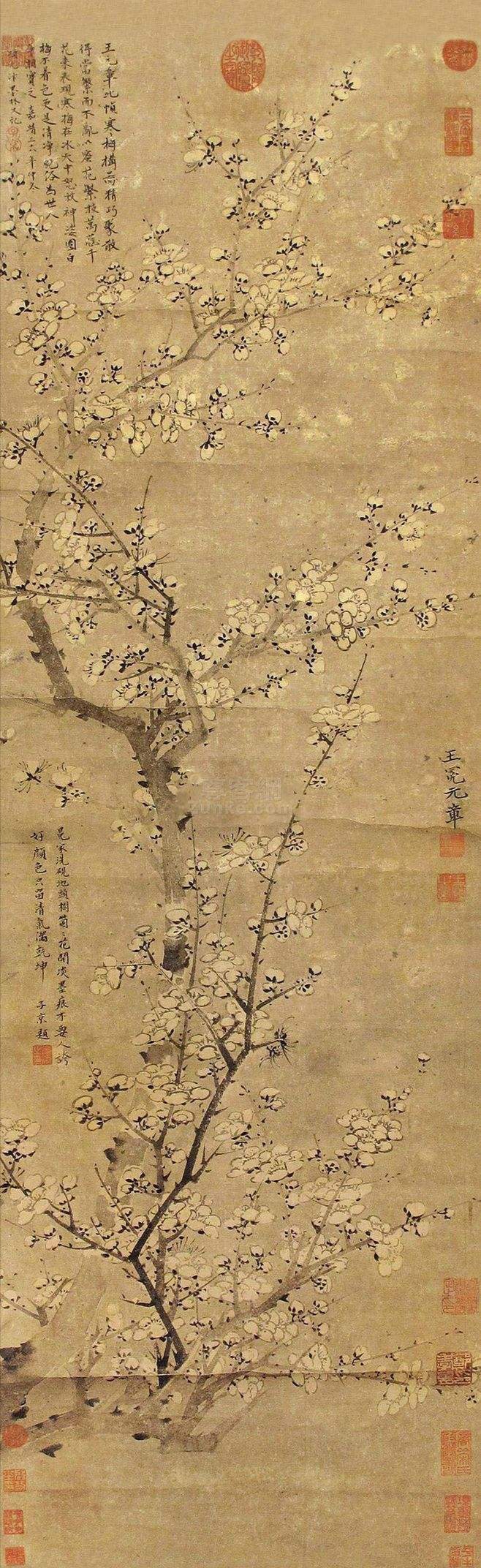 中国花鸟画中的名花卉——梅花【五】元代名家王冕经典作品欣赏