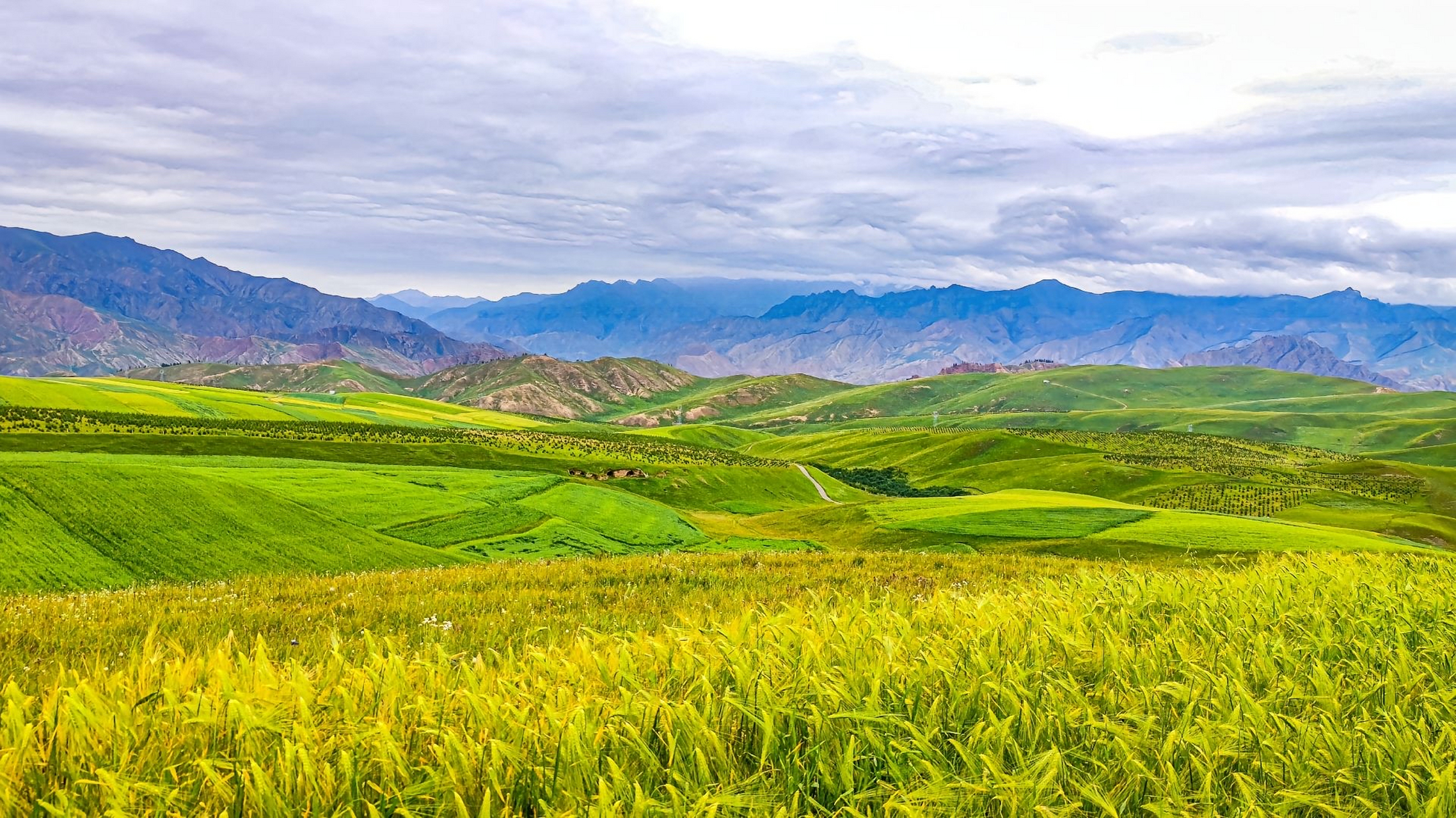 青海祁连山的风景美如画#旅行# #旅游