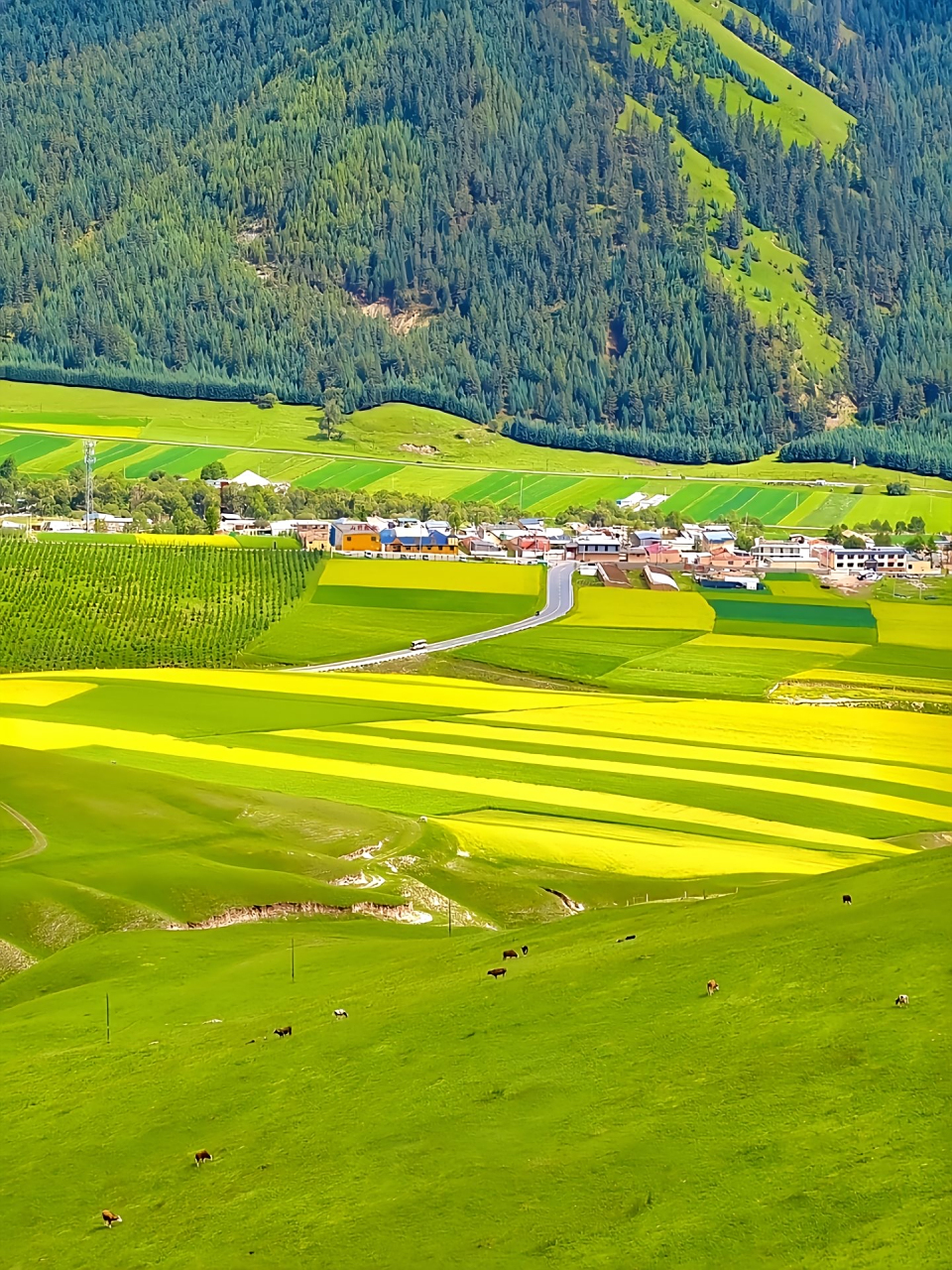 祁连山天景卓尔山是位于中国青海省祁连县的一个旅游景点.