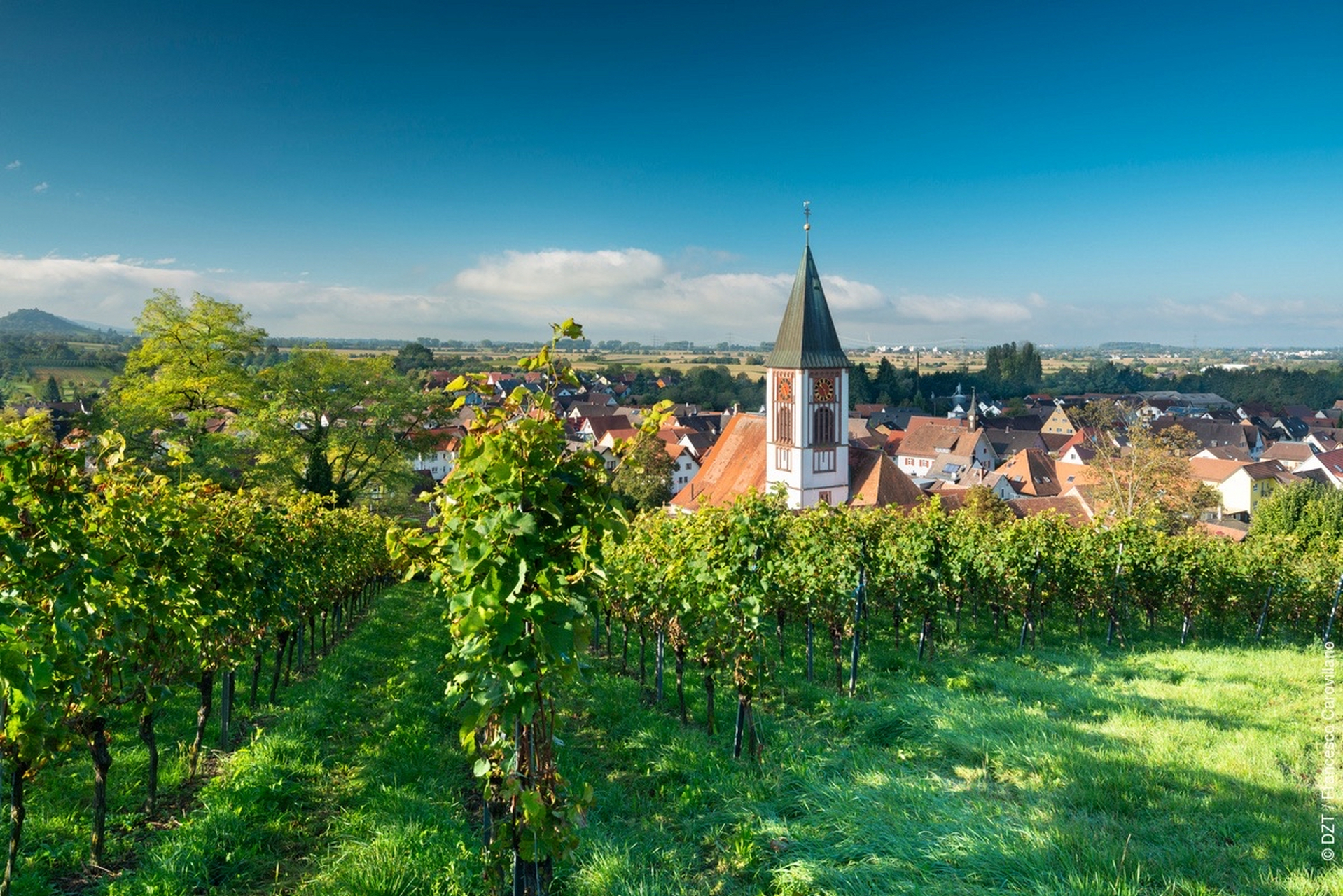 优质作者榜# 德国百佳景点·弗莱堡(freiburg).