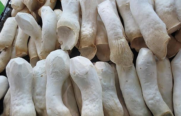 冬天是时候多吃这几种蘑菇了,营养美味,做成菜大家都喜欢