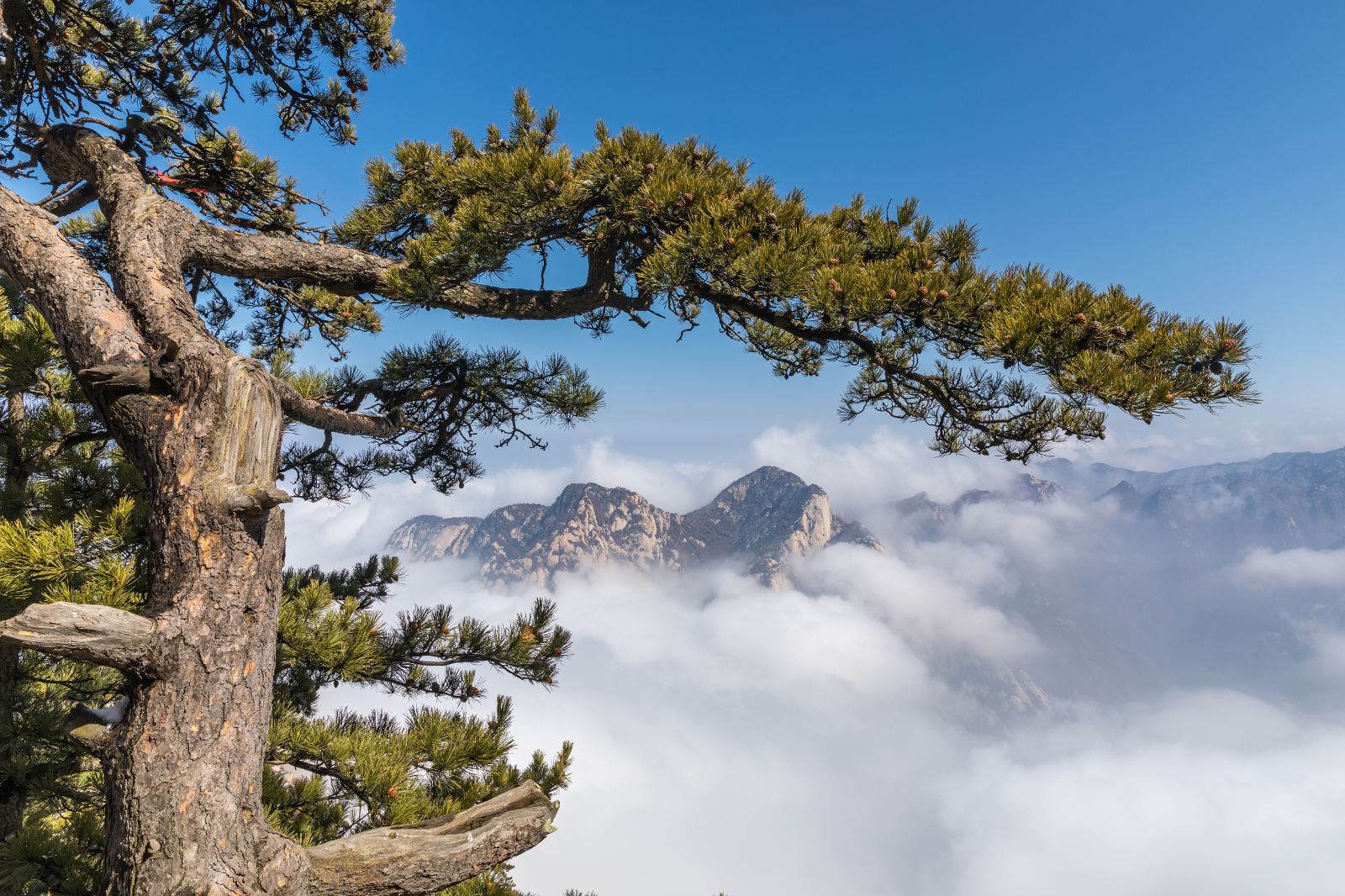 渭南十大旅游景点图片