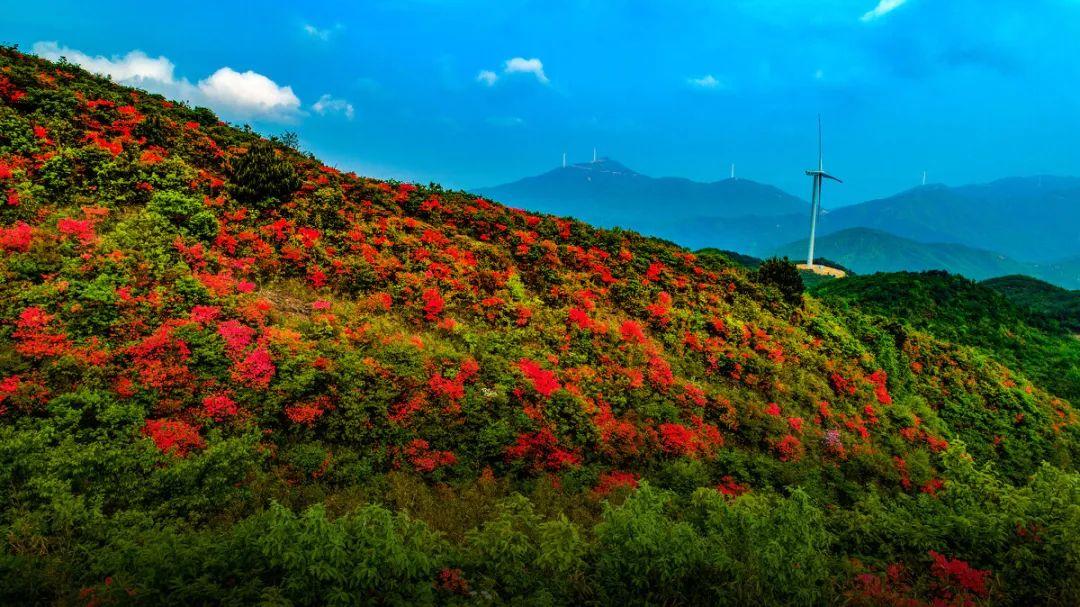 朱虹:江西丰城——经济强县的文旅情怀