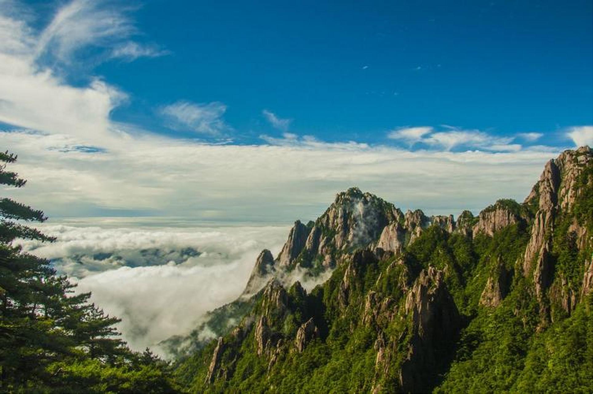 黄山风景区以其奇松,怪石,云海和温泉而闻名,被联合国教科文组织评为"