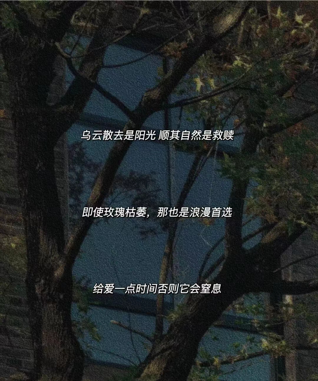 好像一切都对我来说都是没意思的了.