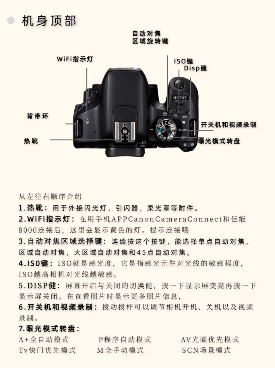 佳能eos50d按键图解图片