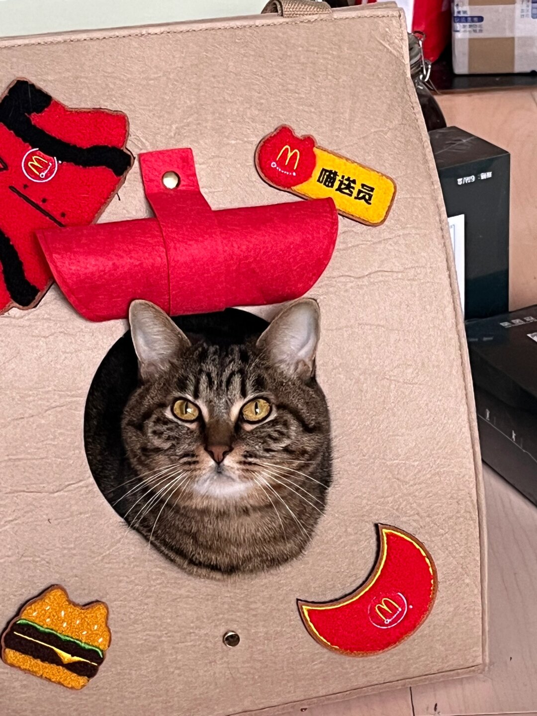 朋友说这孩子能红 ee们看看是吗 有人认为此小朋友