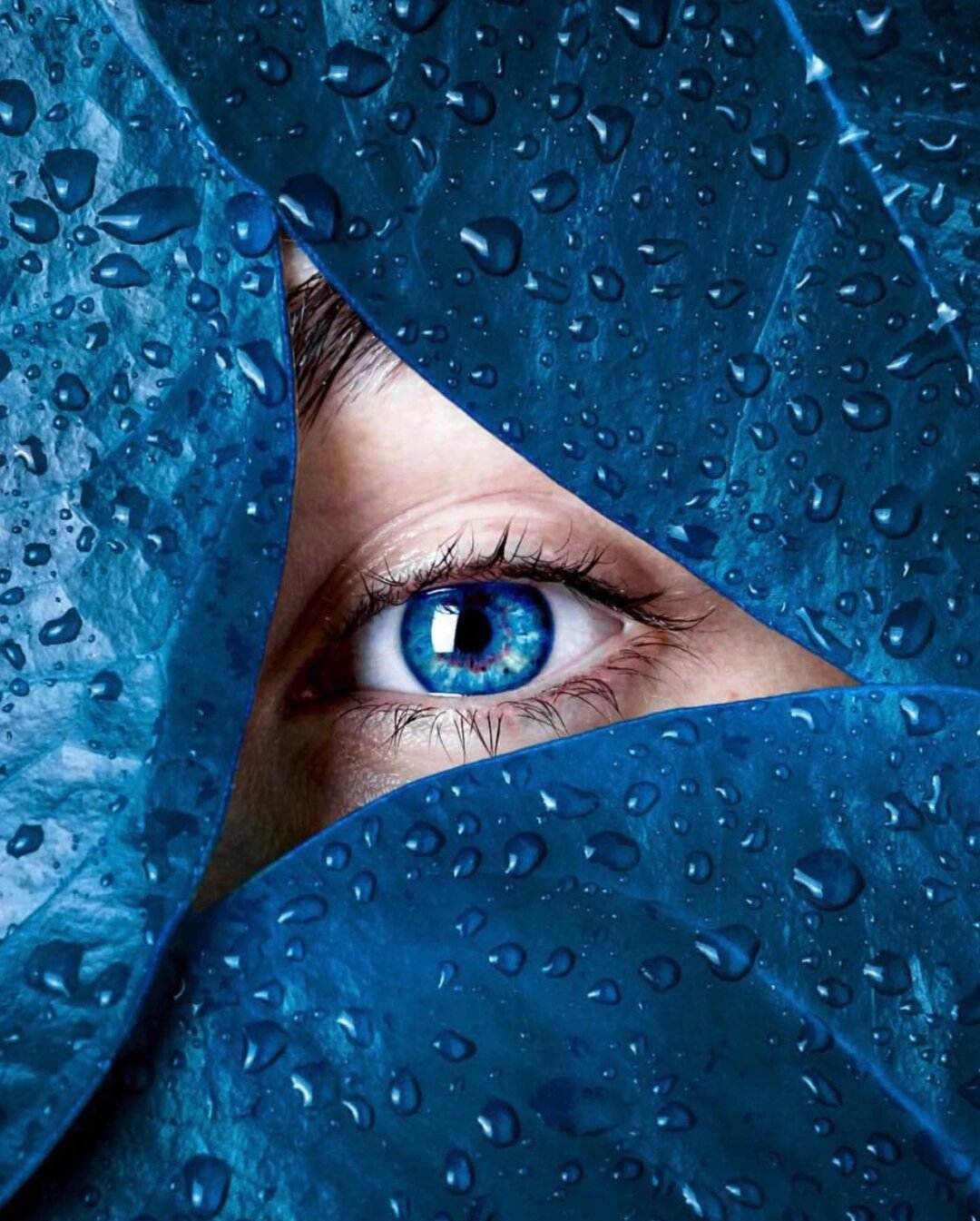 艺术家claire luxton,她在创作过程中展现出的敏锐洞察力与独特创意