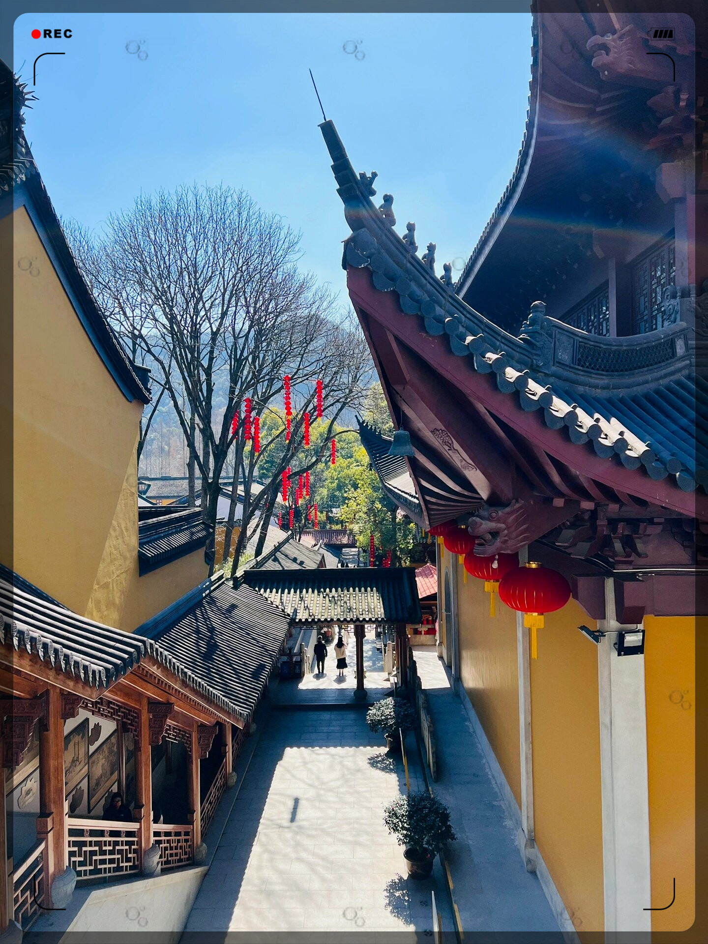 划重点先去法喜寺再去灵隐寺这样一路下坡节省体力虽然