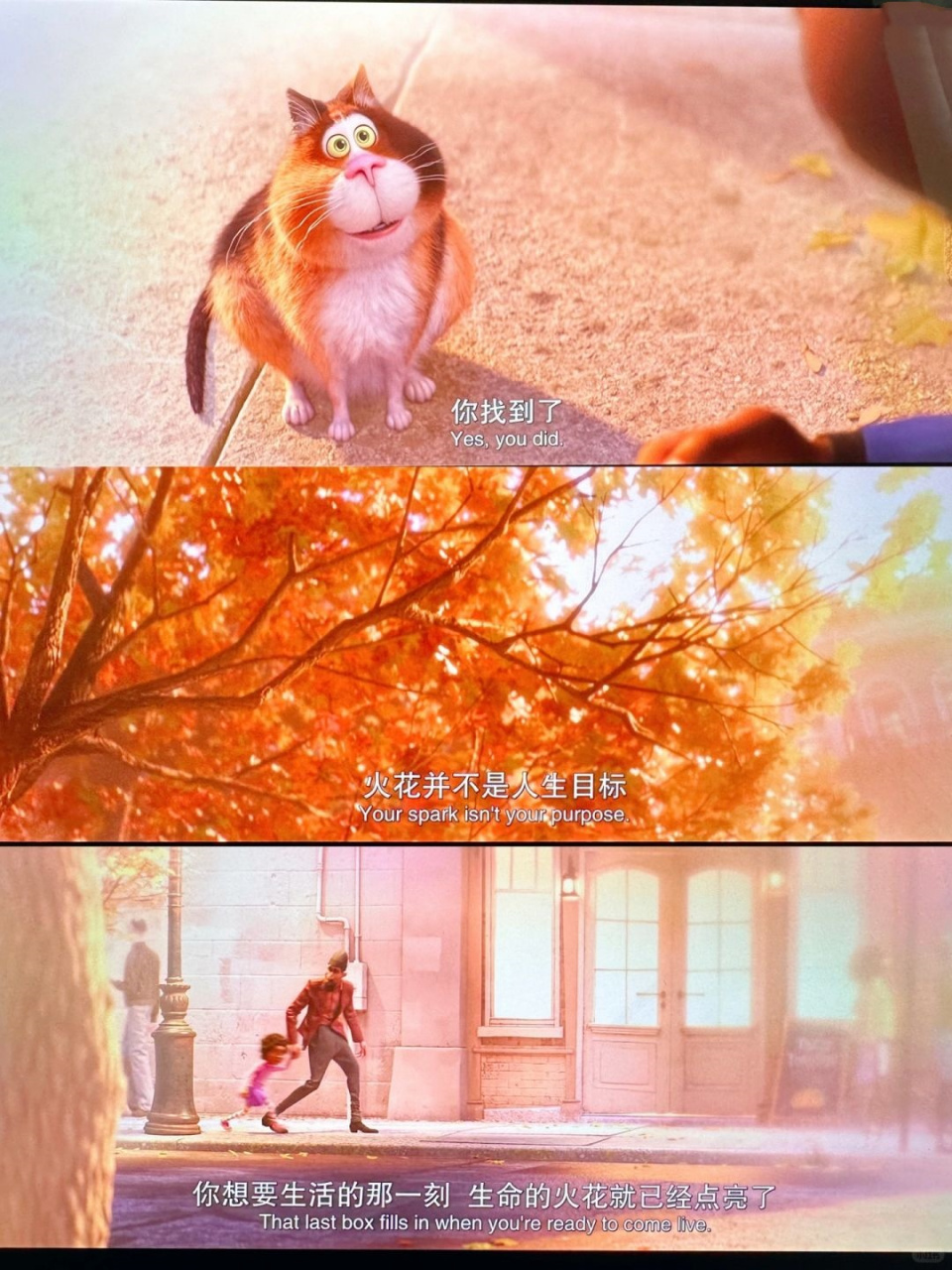 一部名叫《心灵奇遇》的电影让我深有感触.