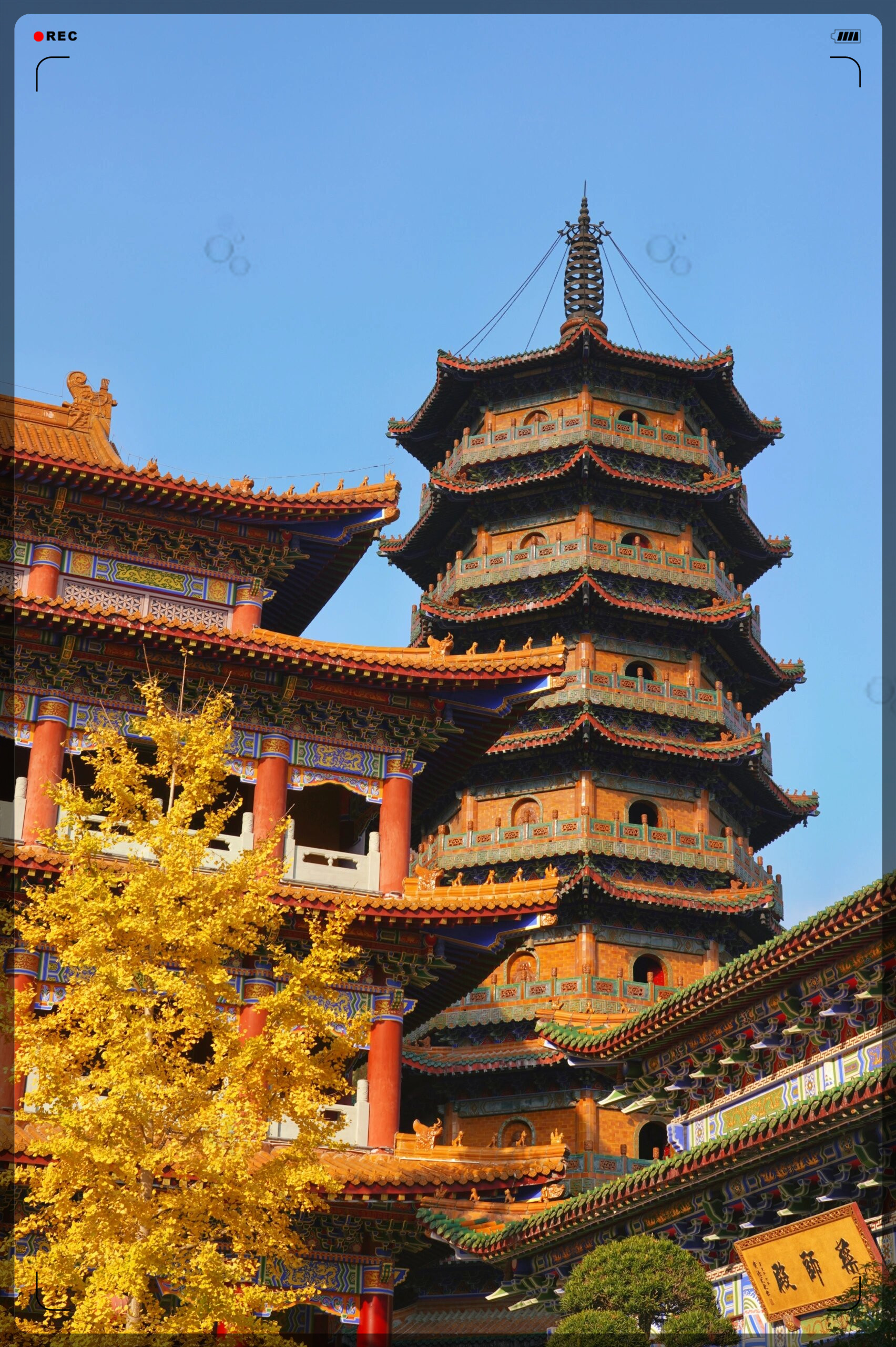 杭州小故宫 终于等到了千年禅寺最美季节