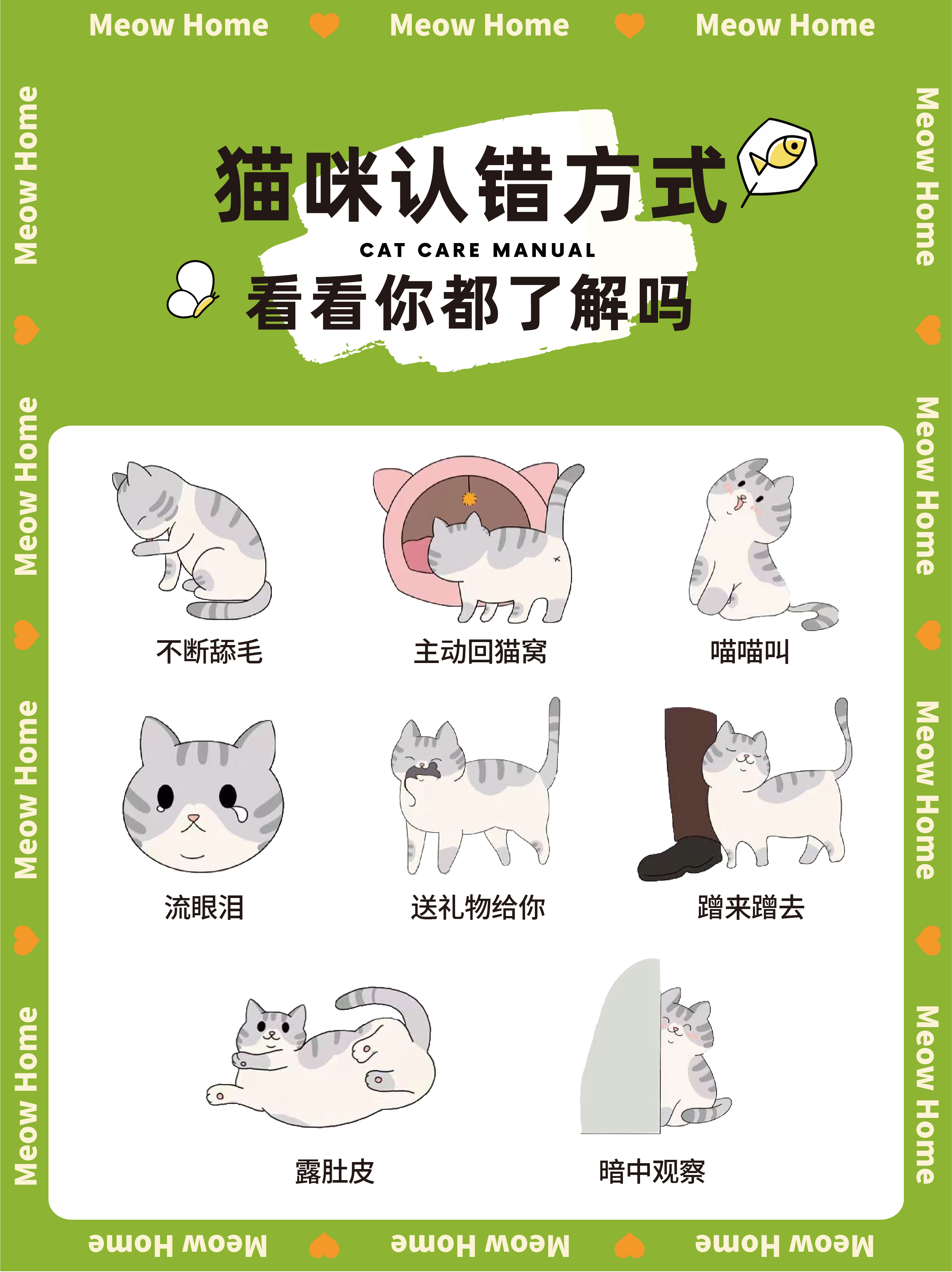 优质短图文计划 猫咪有哪些认错的方式?