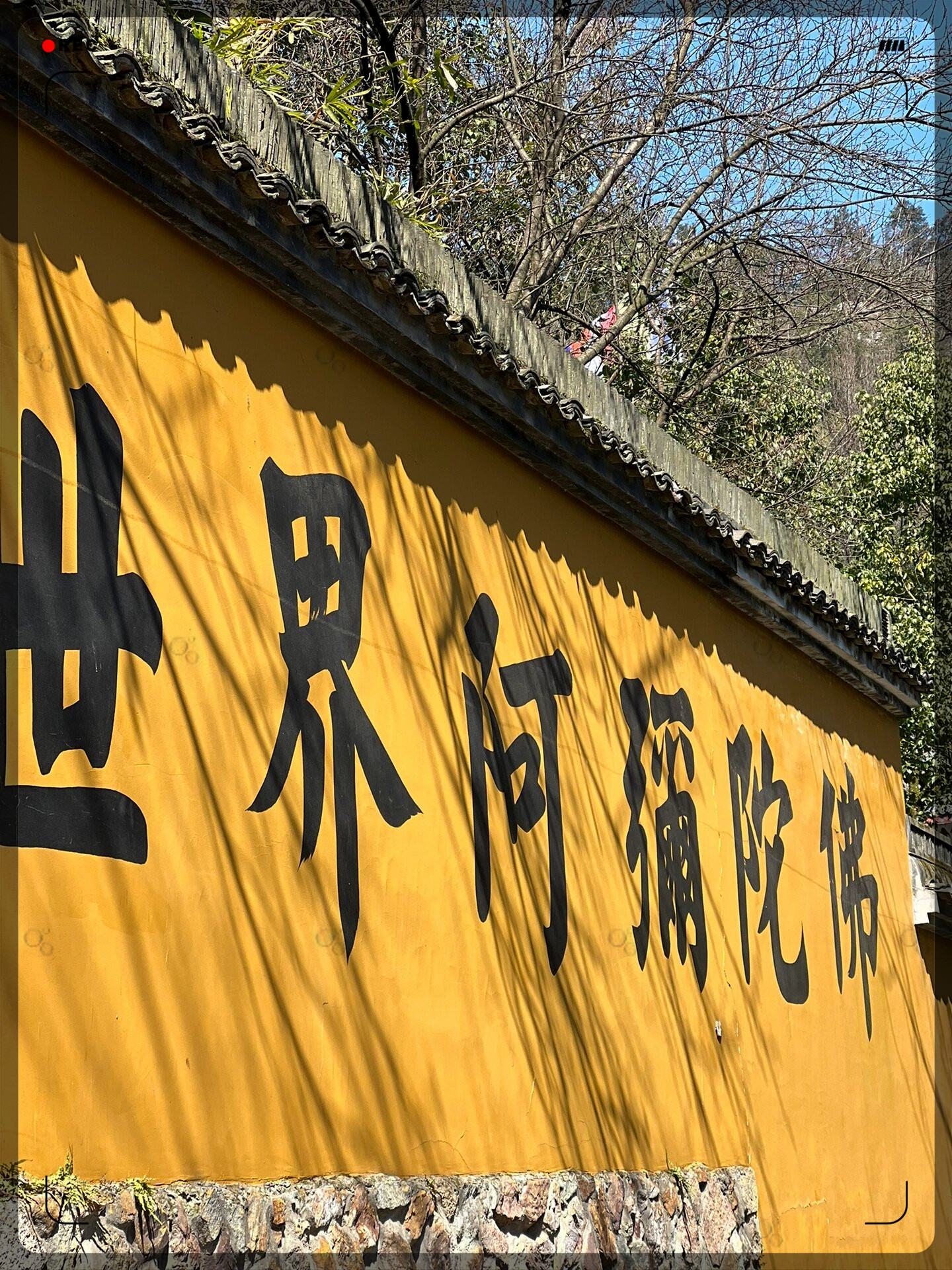 划重点先去法喜寺再去灵隐寺这样一路下坡节省体力虽然