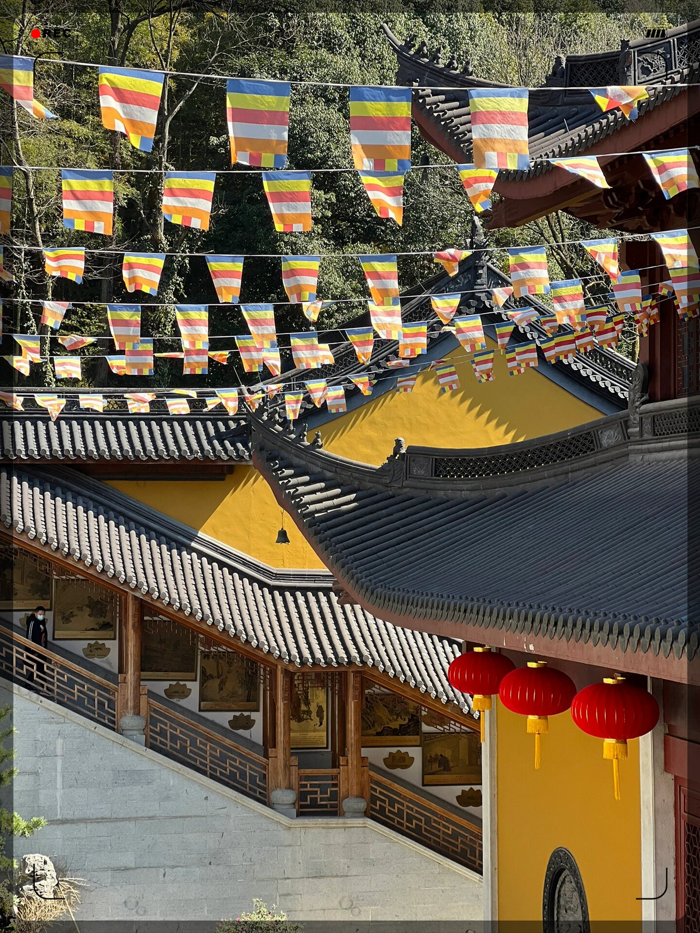 划重点先去法喜寺再去灵隐寺这样一路下坡节省体力虽然