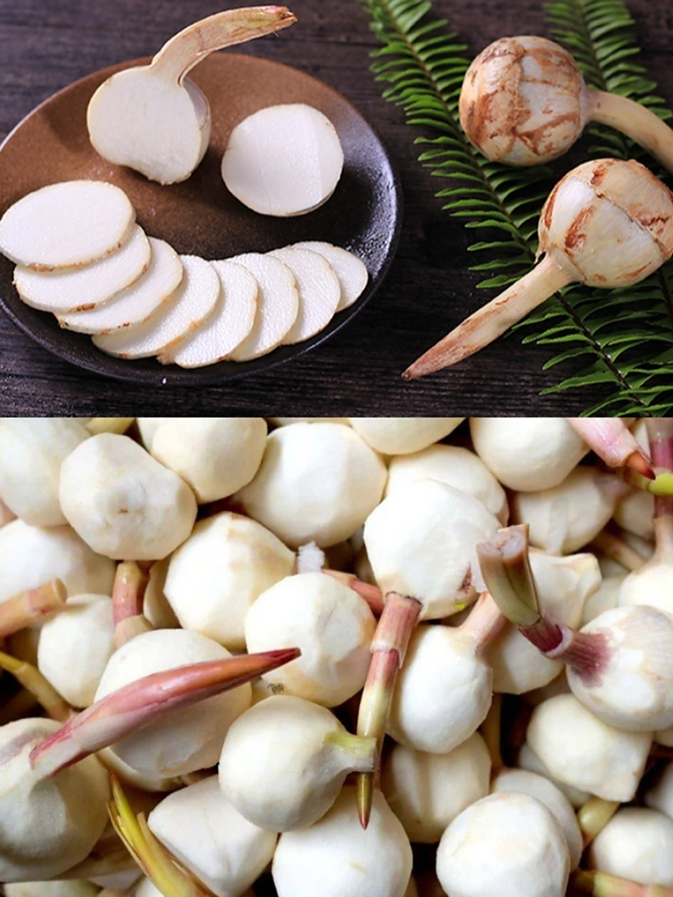 每日识花:茨菇  1.植物百科 茨菰(学名:sagittaria sagittifolia l.