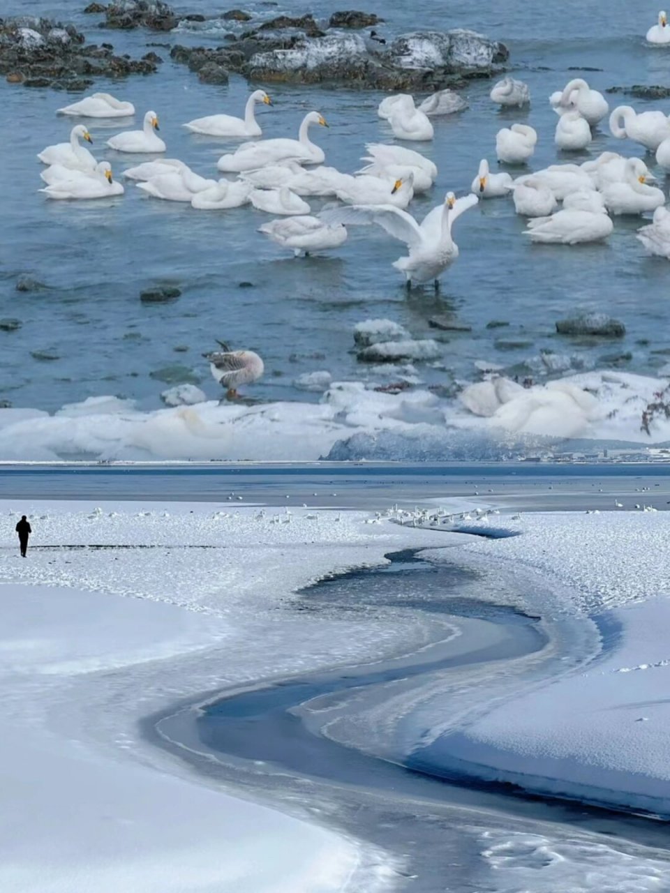 威海大雪图片