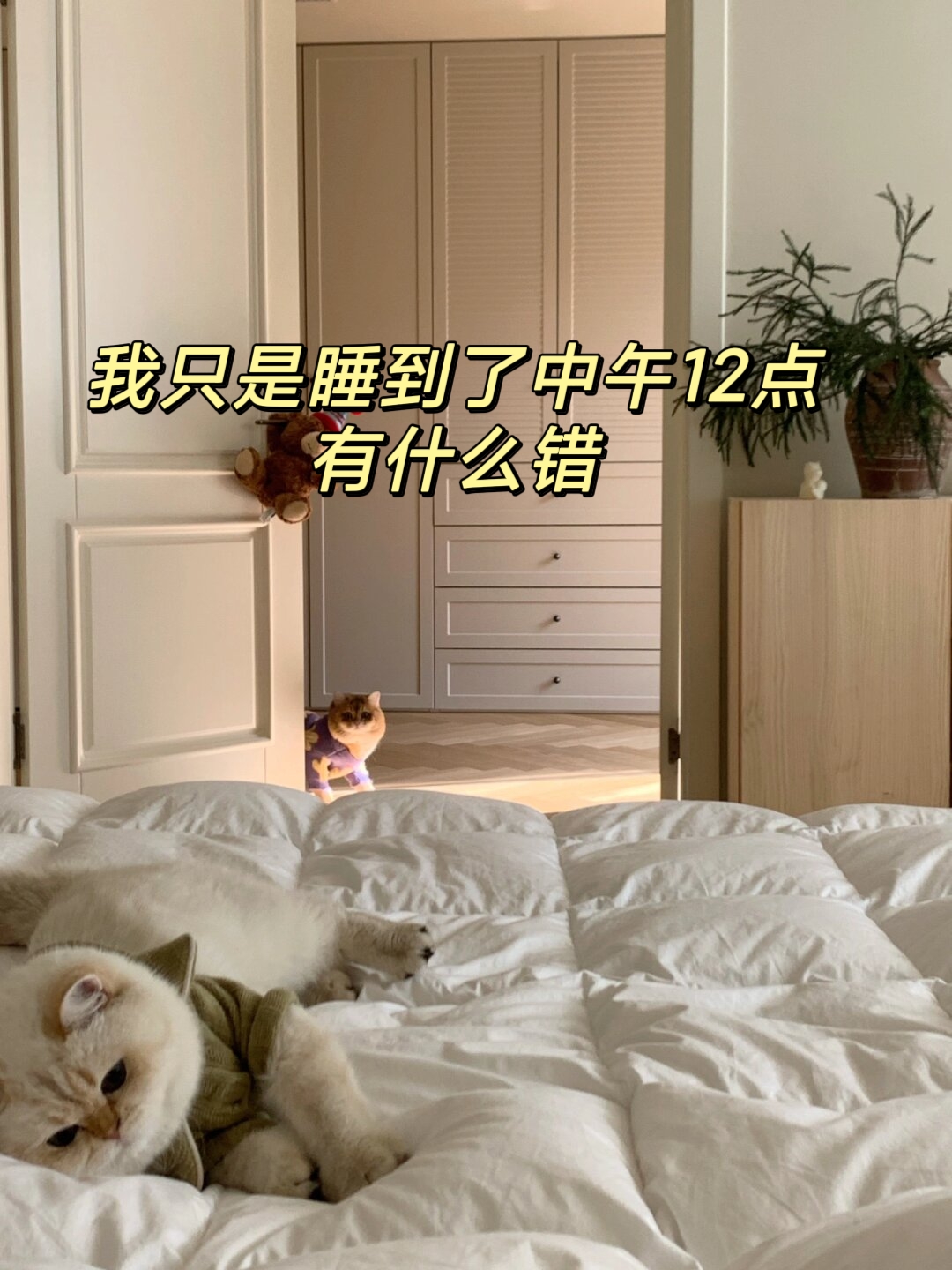 我只是睡到了中午12点有什么错