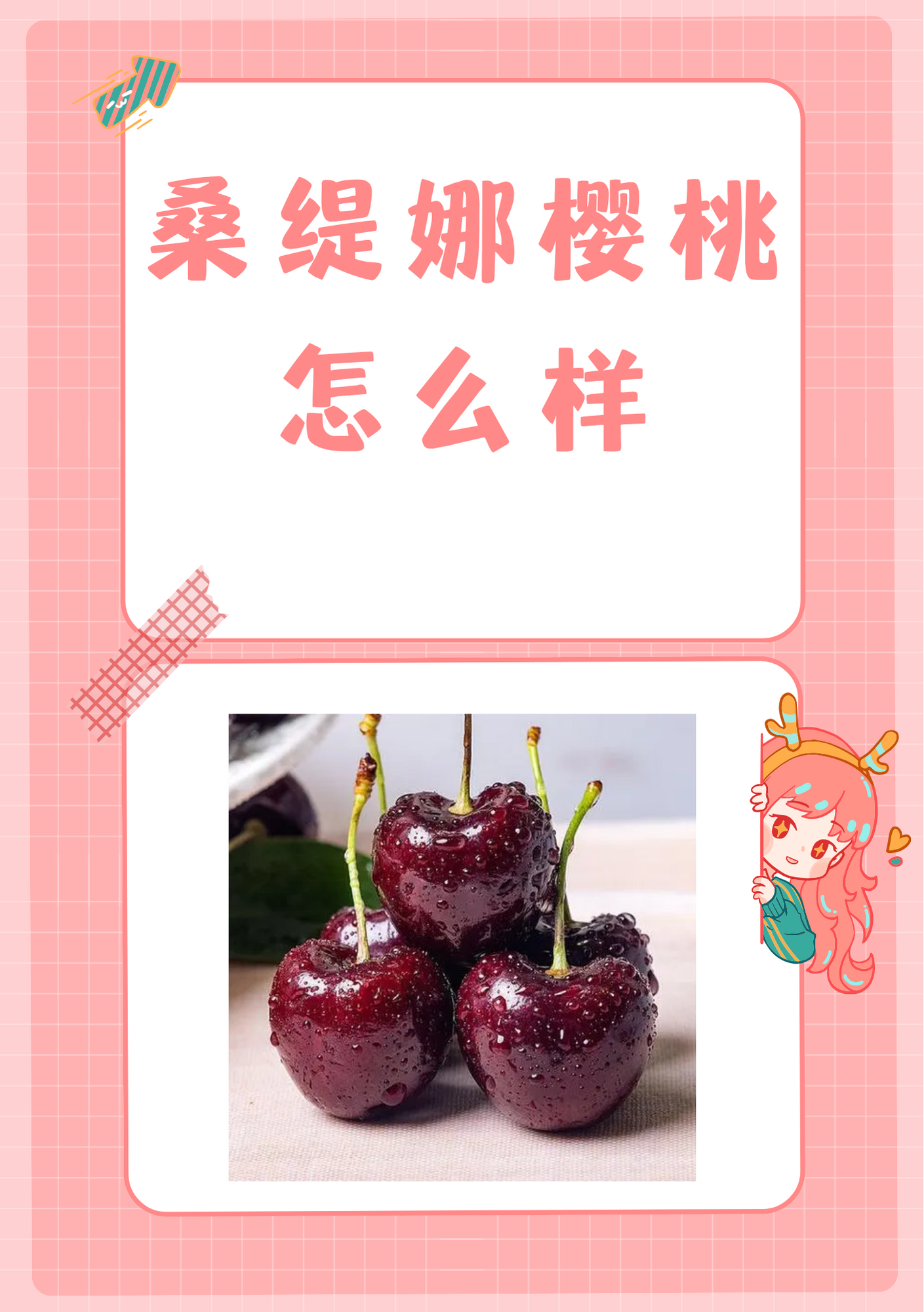桑缇娜樱桃怎么样 [比心]据我所知桑提娜大樱桃是优质樱桃,兼具观赏和