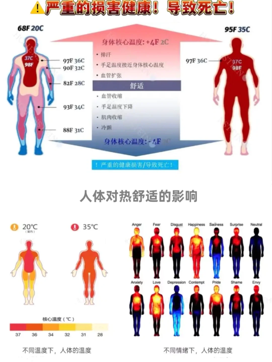 从中医的角度看体温对身体的重要性