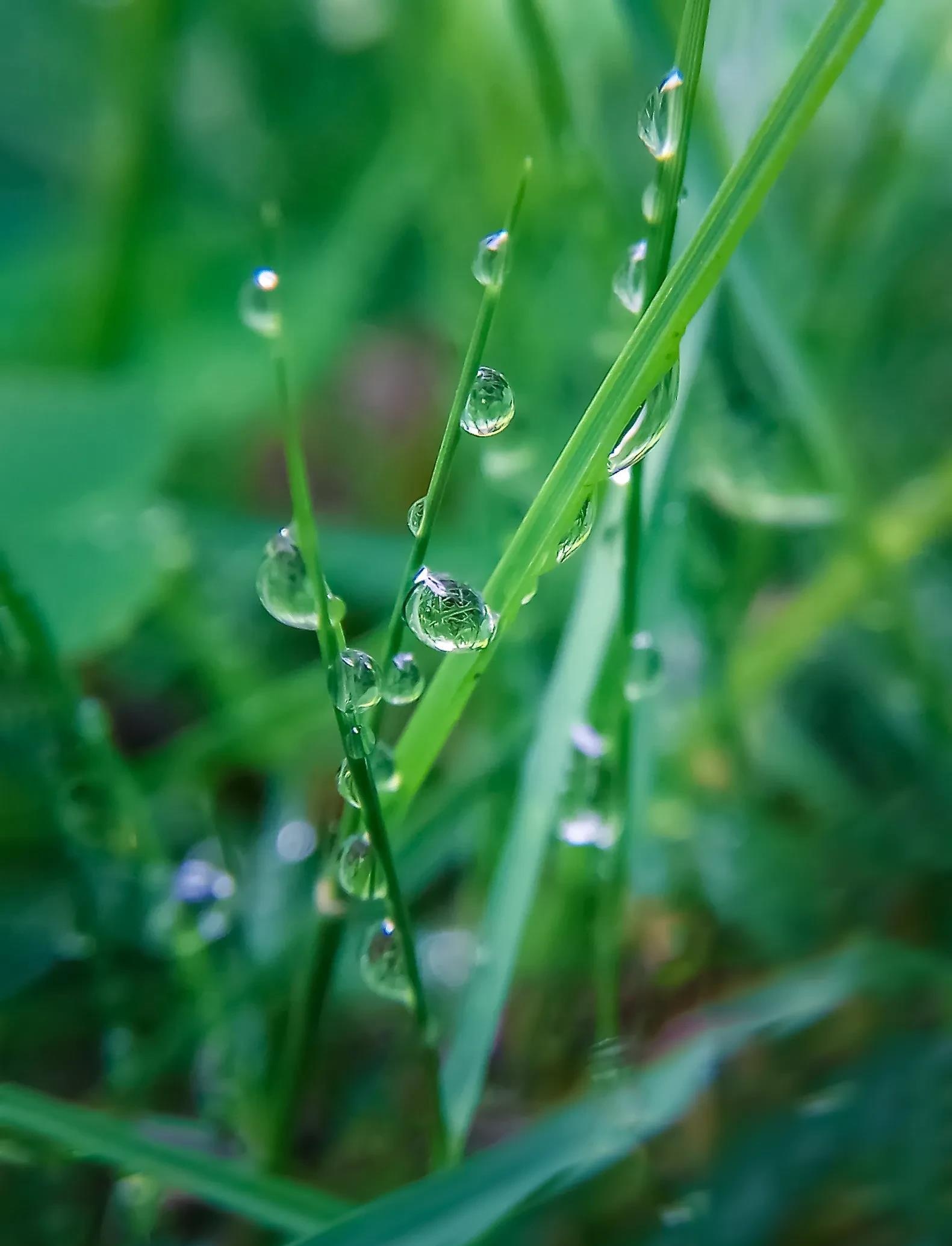 世界上只有这两种人,最值得我们去珍惜:一种是虽不