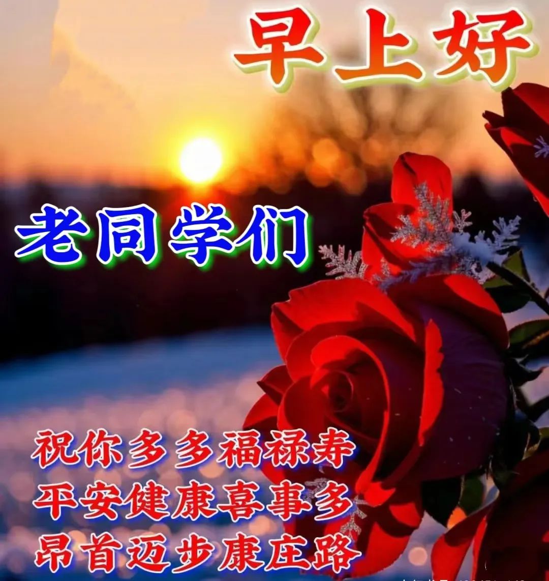 同学之间问候祝福图片图片