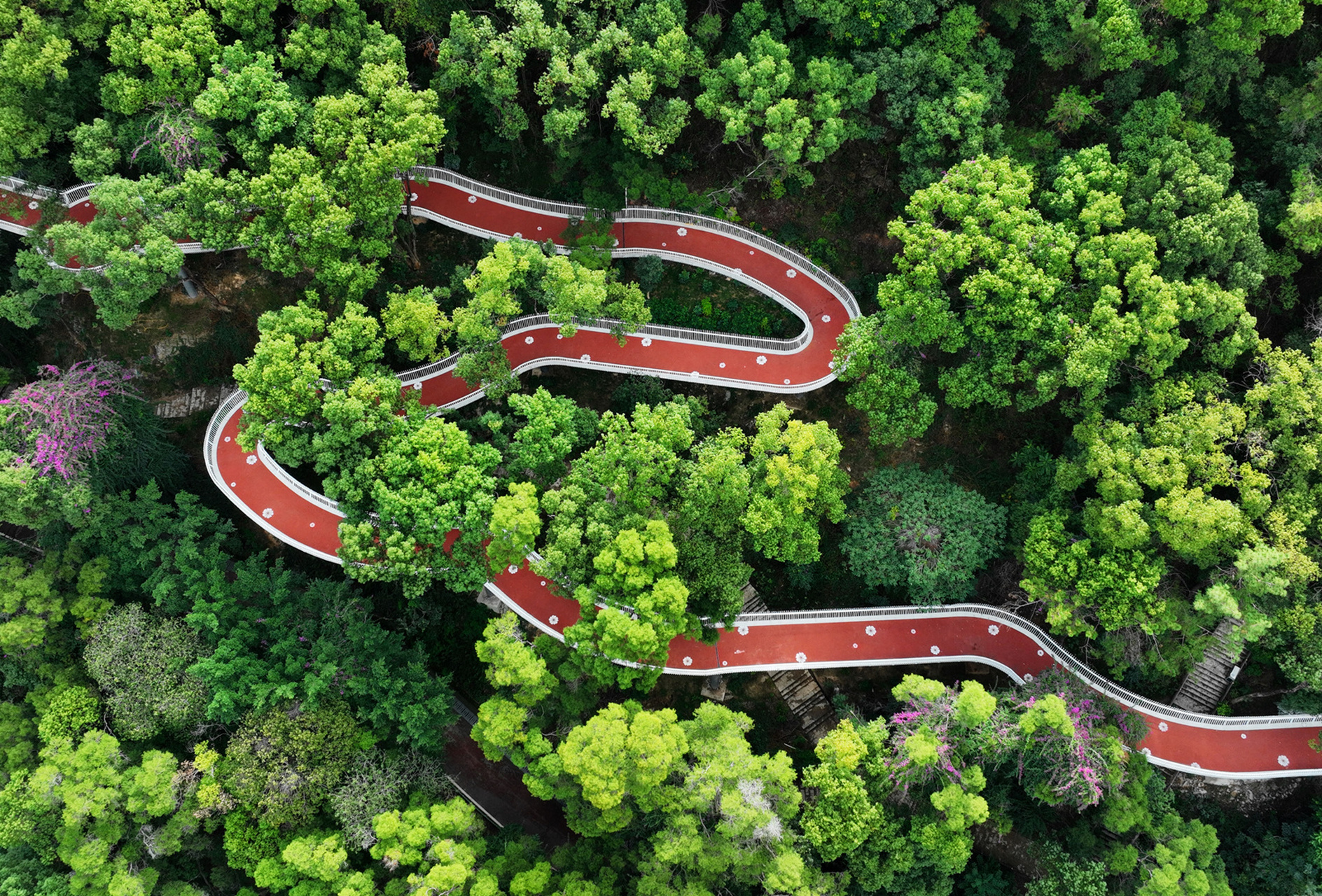 生态步道连接自然与人工景观,提供参观,游憩,休闲等功能,将行人引入