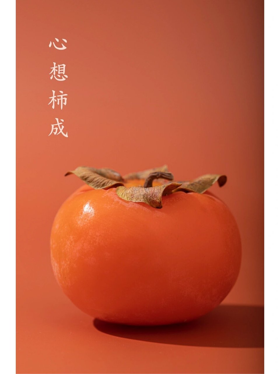 柿柿如意 2024年祝大家好柿当头,万柿大吉,柿柿如意,心想柿成,柿事
