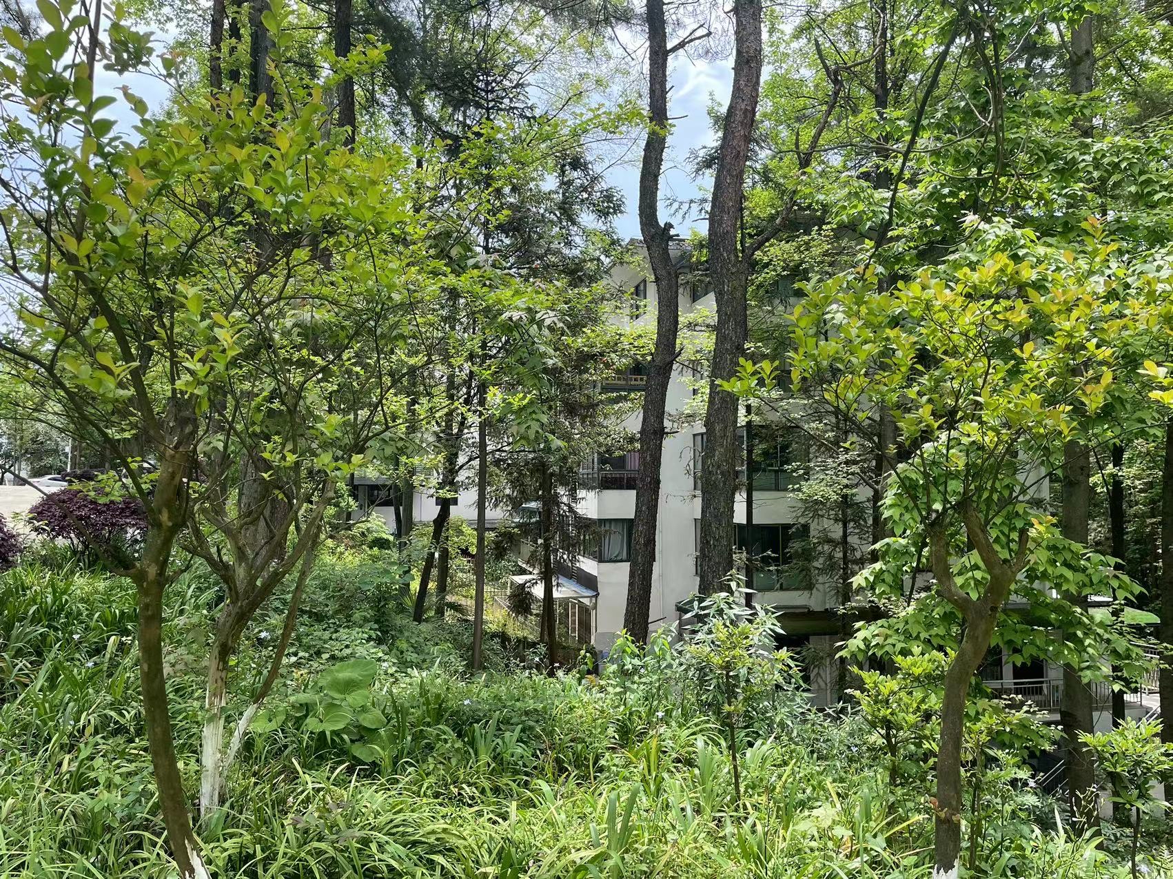 尧龙山天域极地避暑房总价13.5万,海拔1200米地势平坦,成熟小区