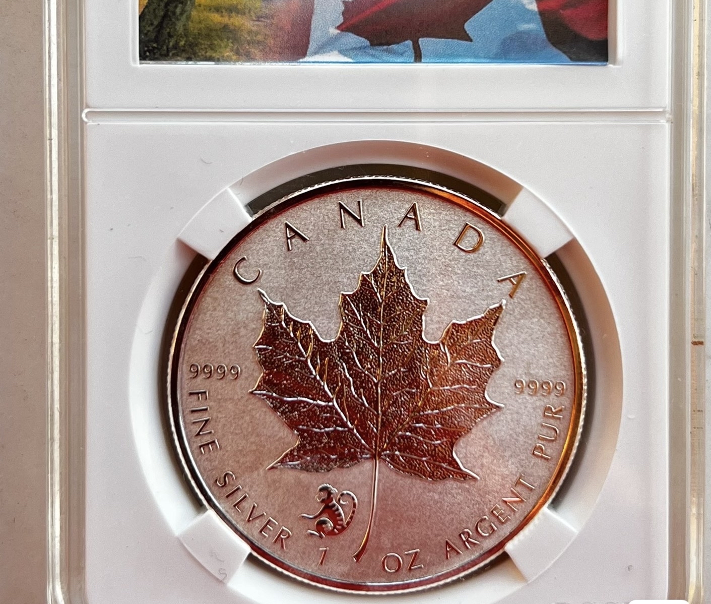 加拿大枫叶银币收藏知识