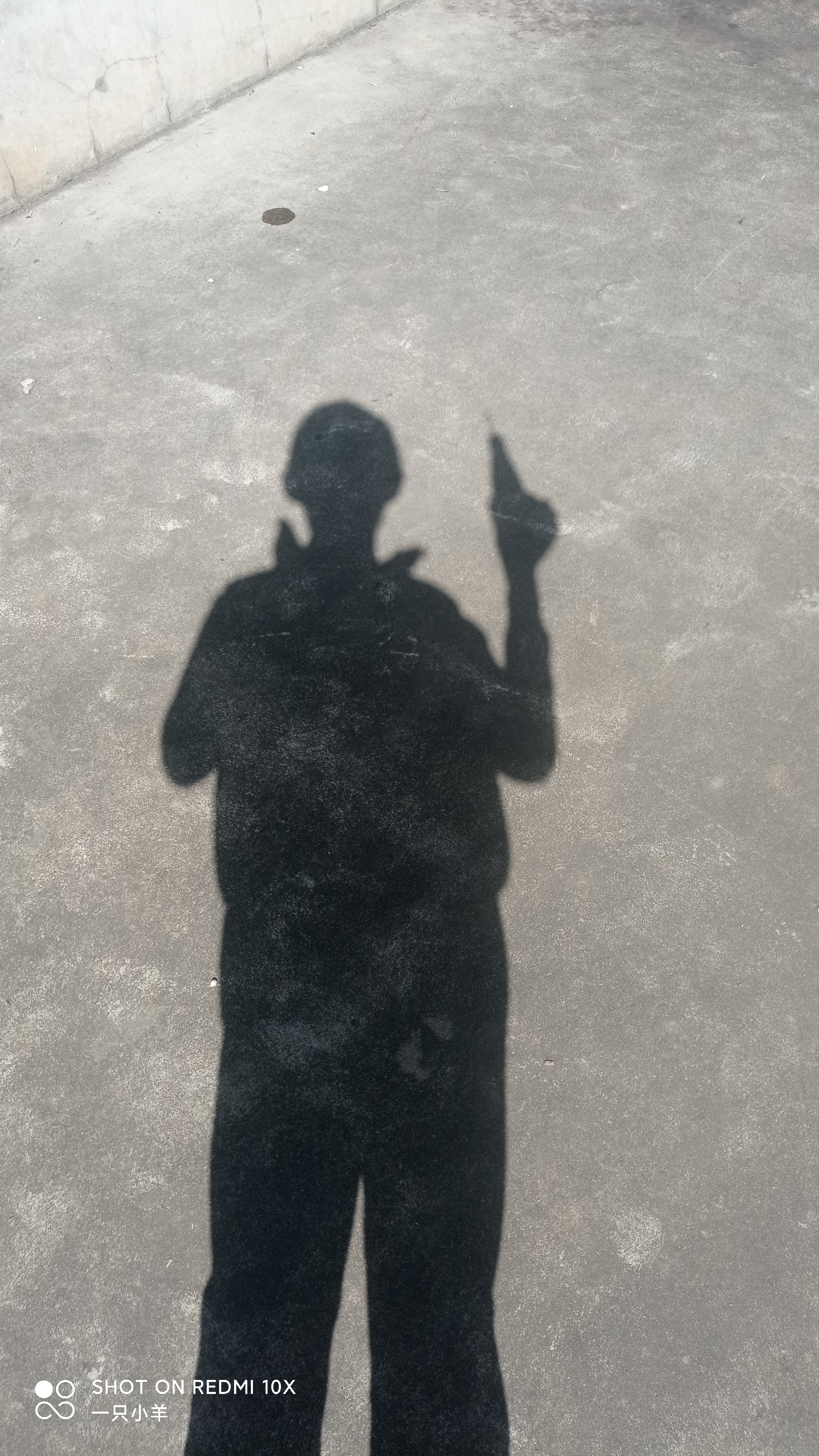 影子让我想起来了一件事情,就是小时候和同学放学后一起去看皮影戏