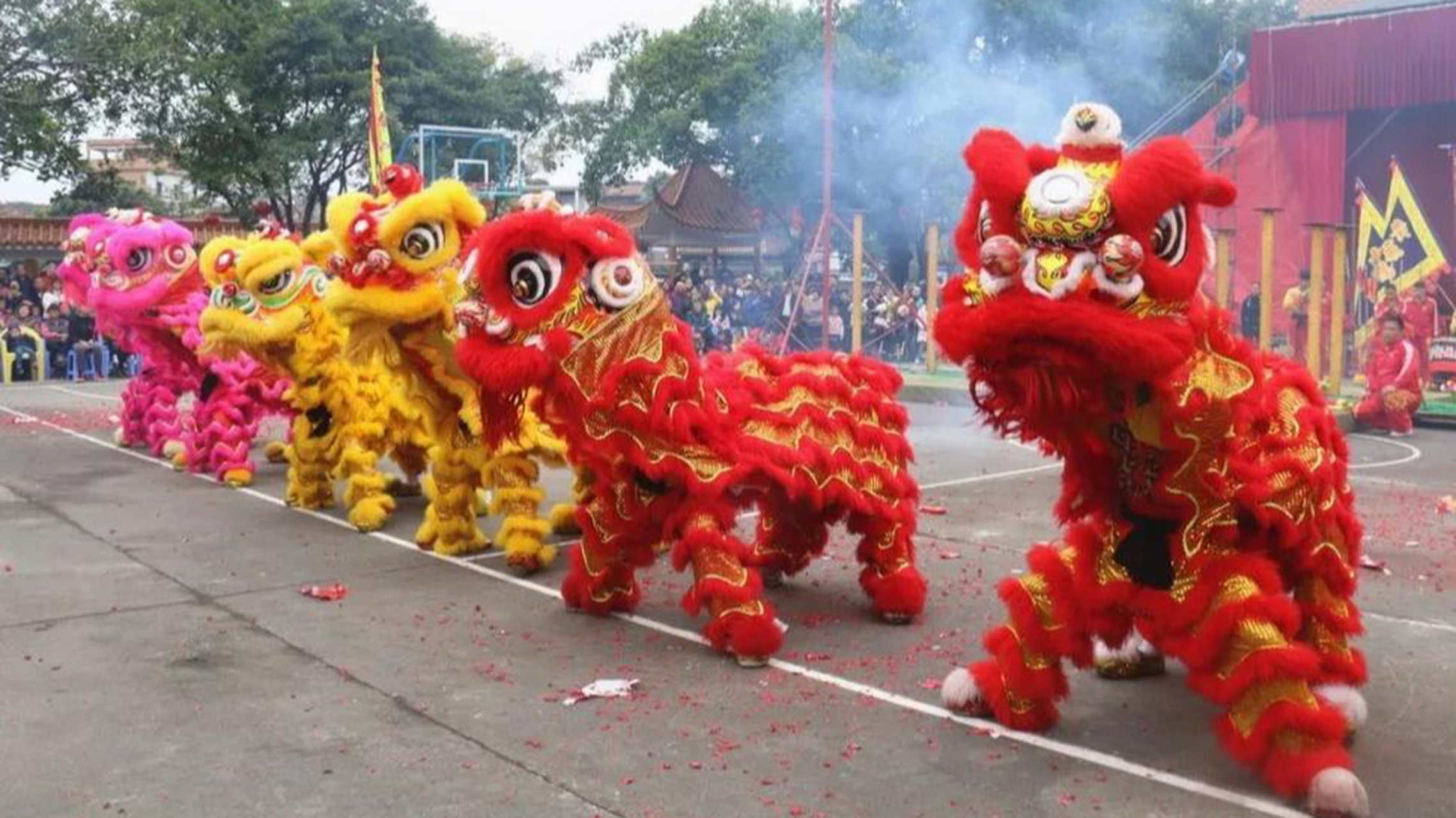 醒狮,中国南狮,源于广东佛山,历史悠久.