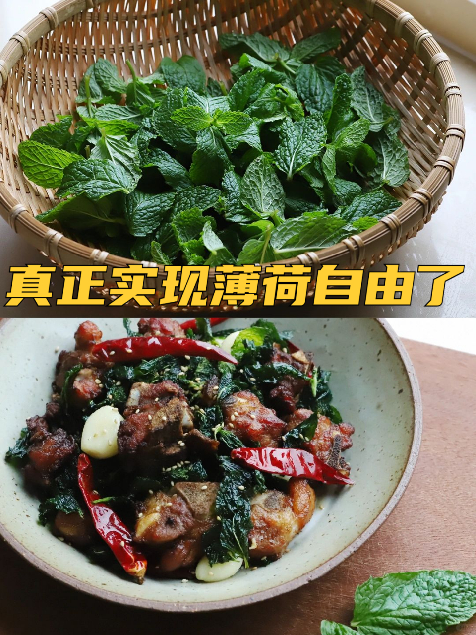 薄荷菜 食用方法图片